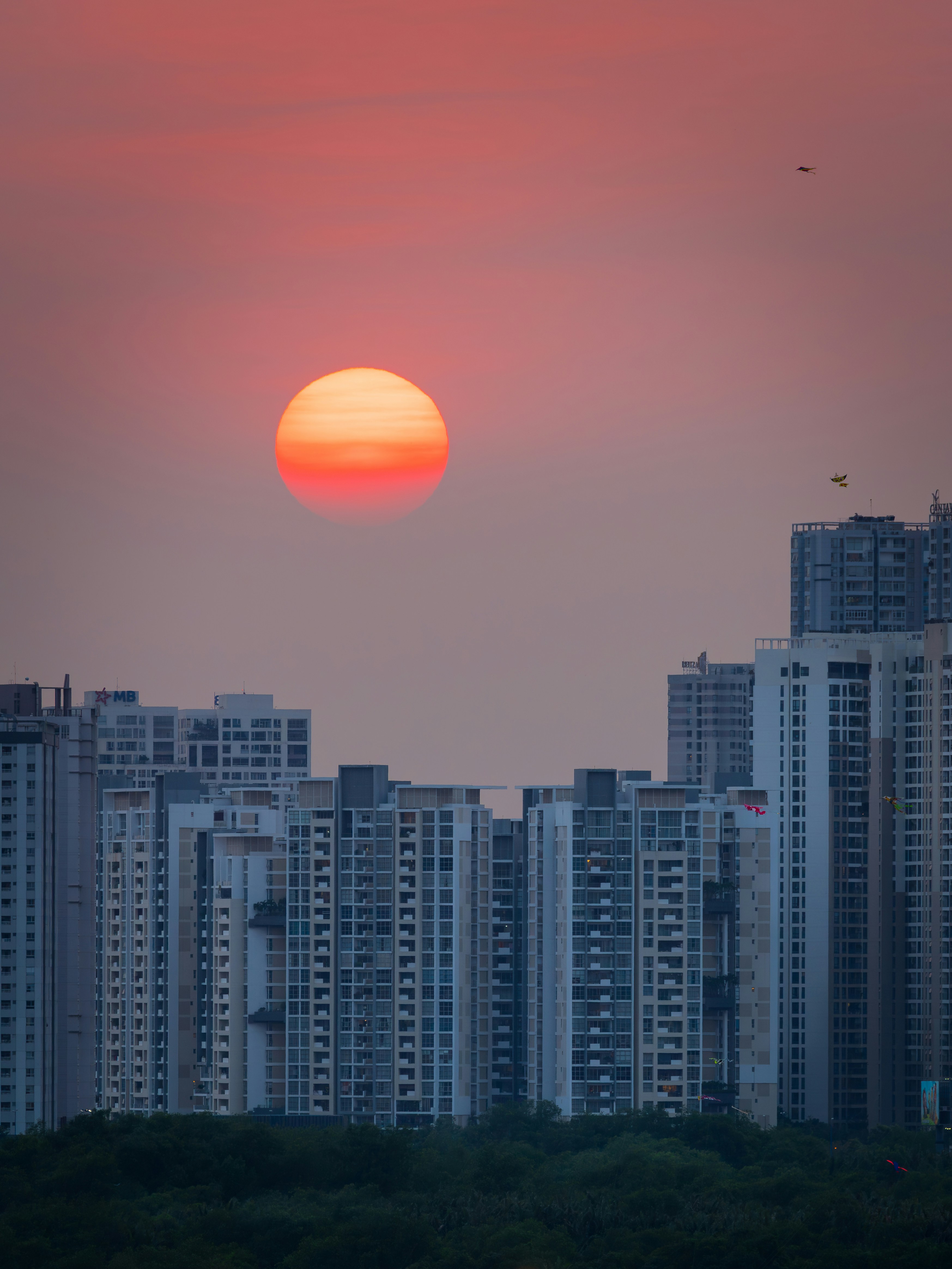 Photo by thomspon_le