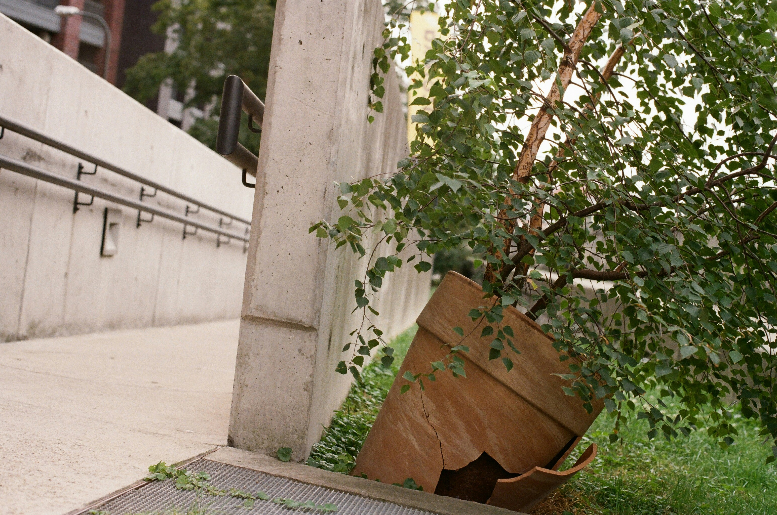 A pile of trash sitting on the side of a road photo – Free Poland Image ...