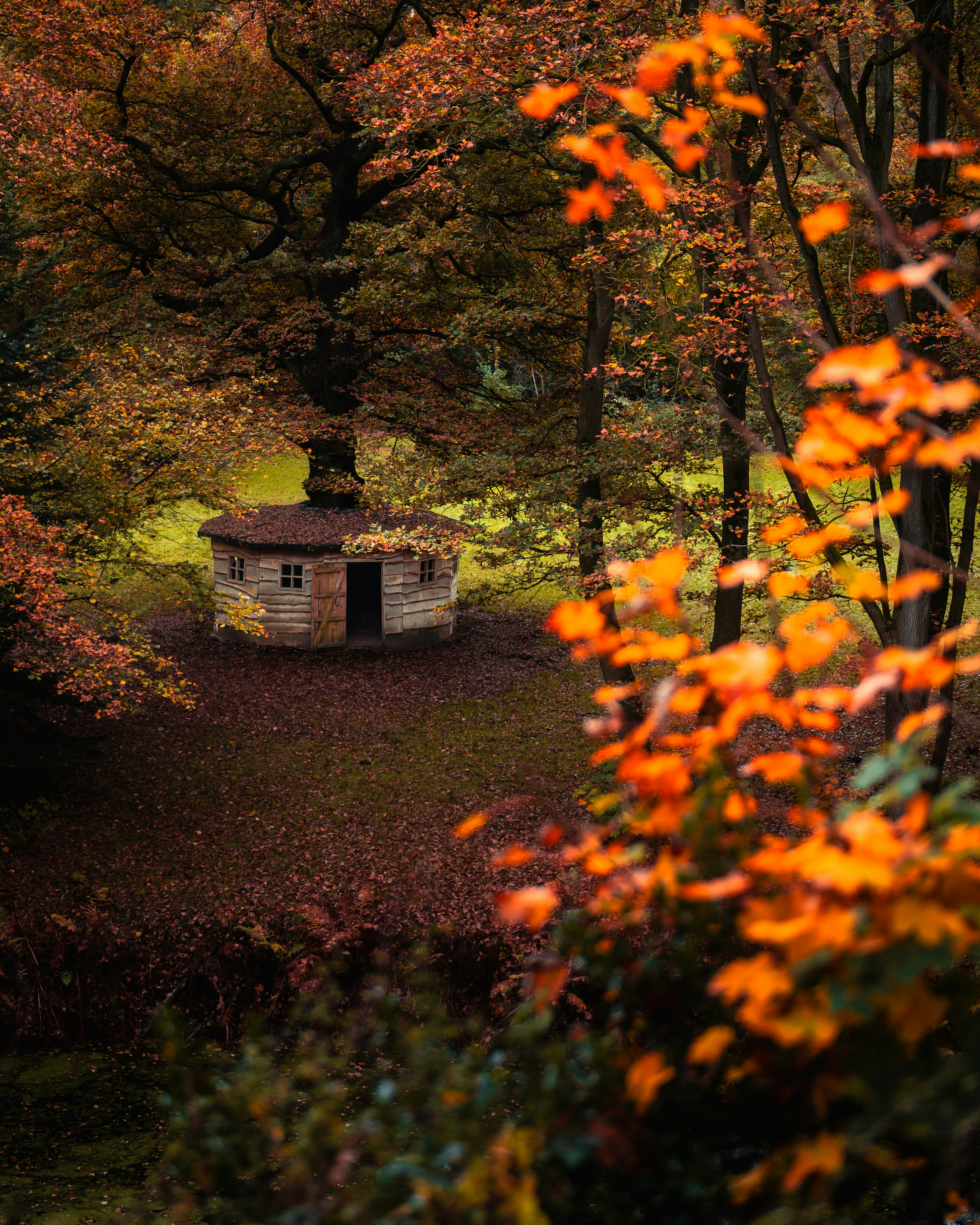 A small building in the middle of a forest
