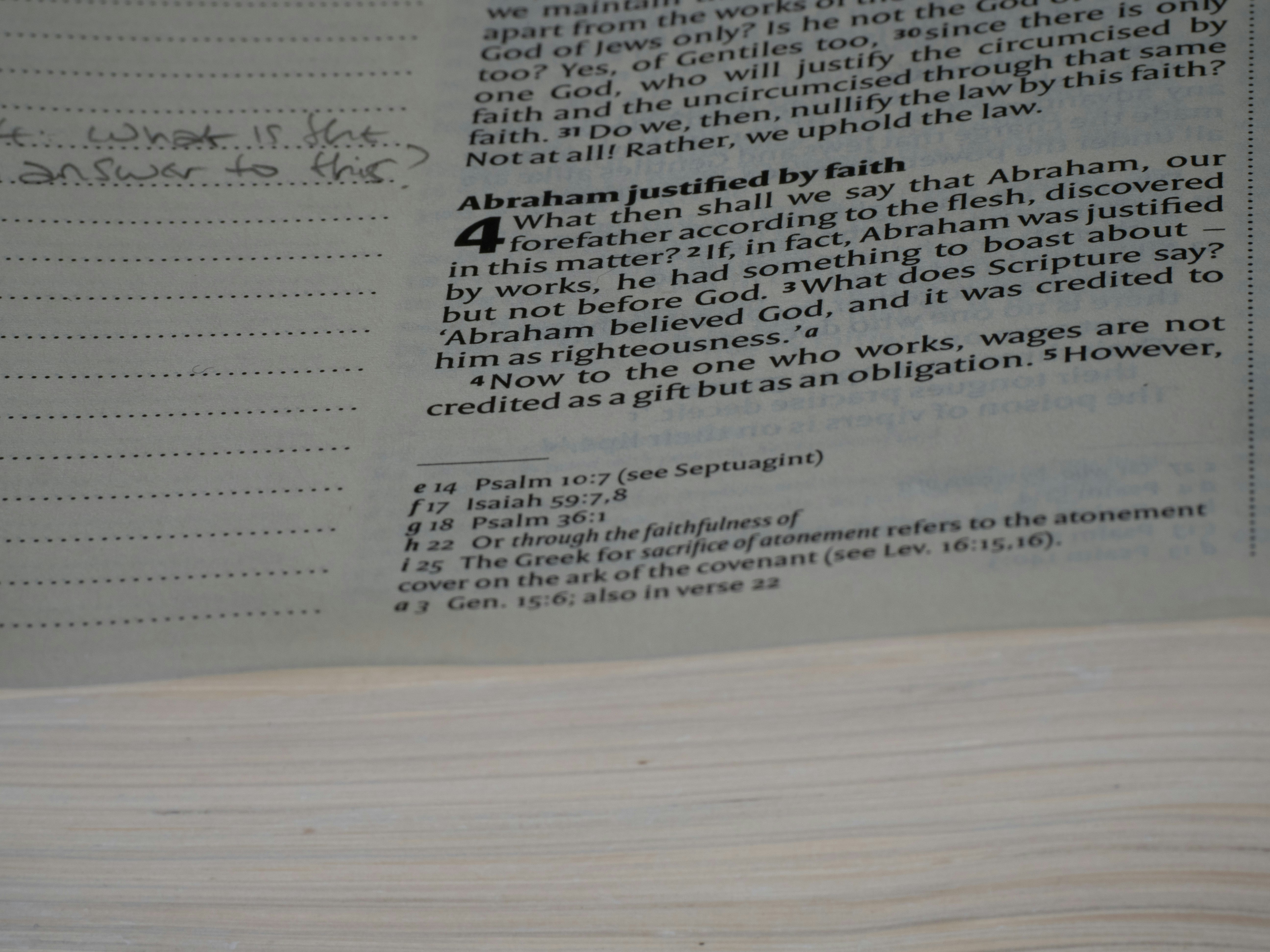 close up, bokeh, bible, new testament, christian, history, text, reading, bible study, devotions, christianity, scripture, romans, paul, grace, epistle, systematic theology, faith, law, salvation, gospel, sin,
