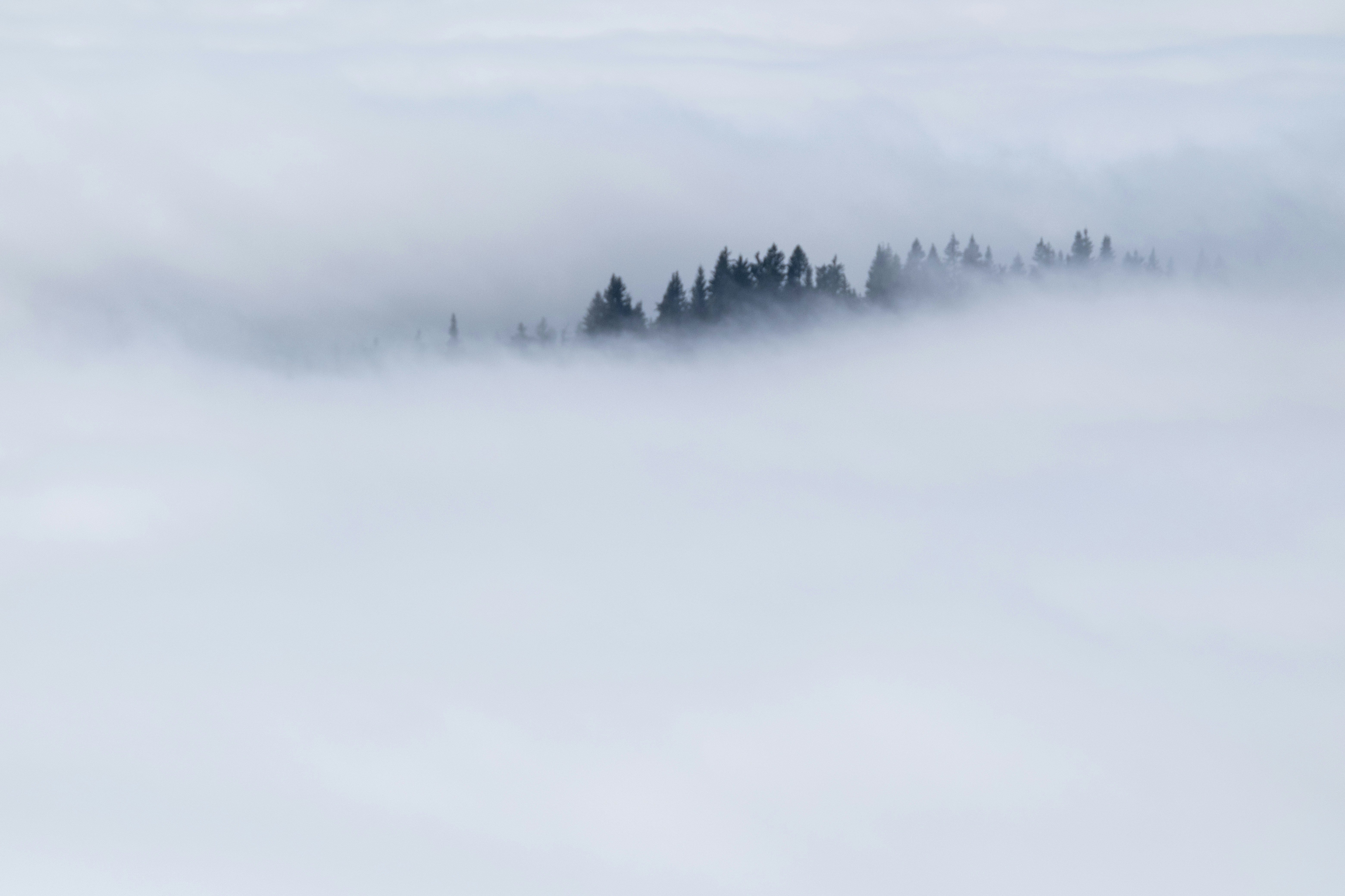 Photo by flousentimental