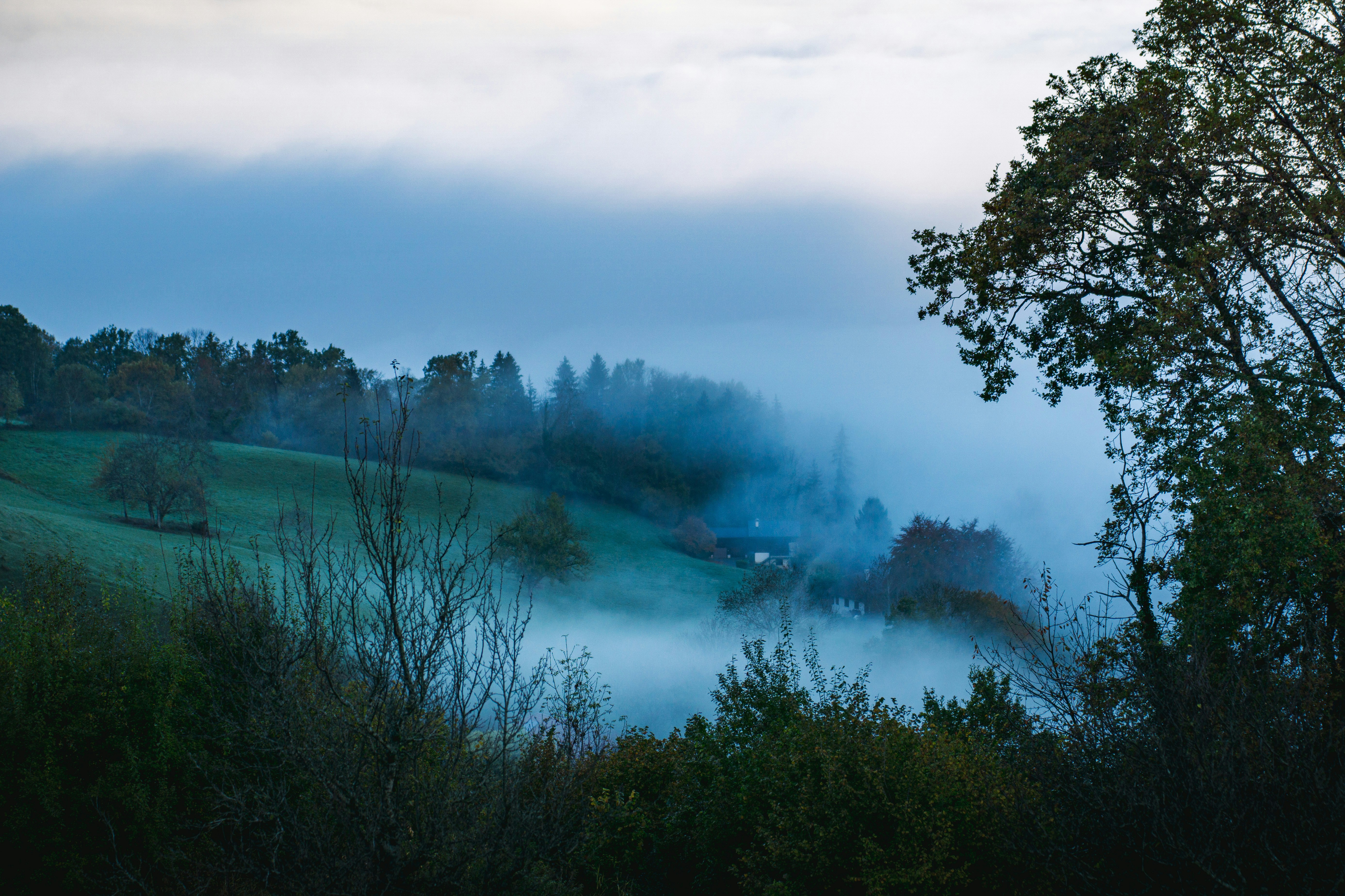 Photo by pitipoulpe