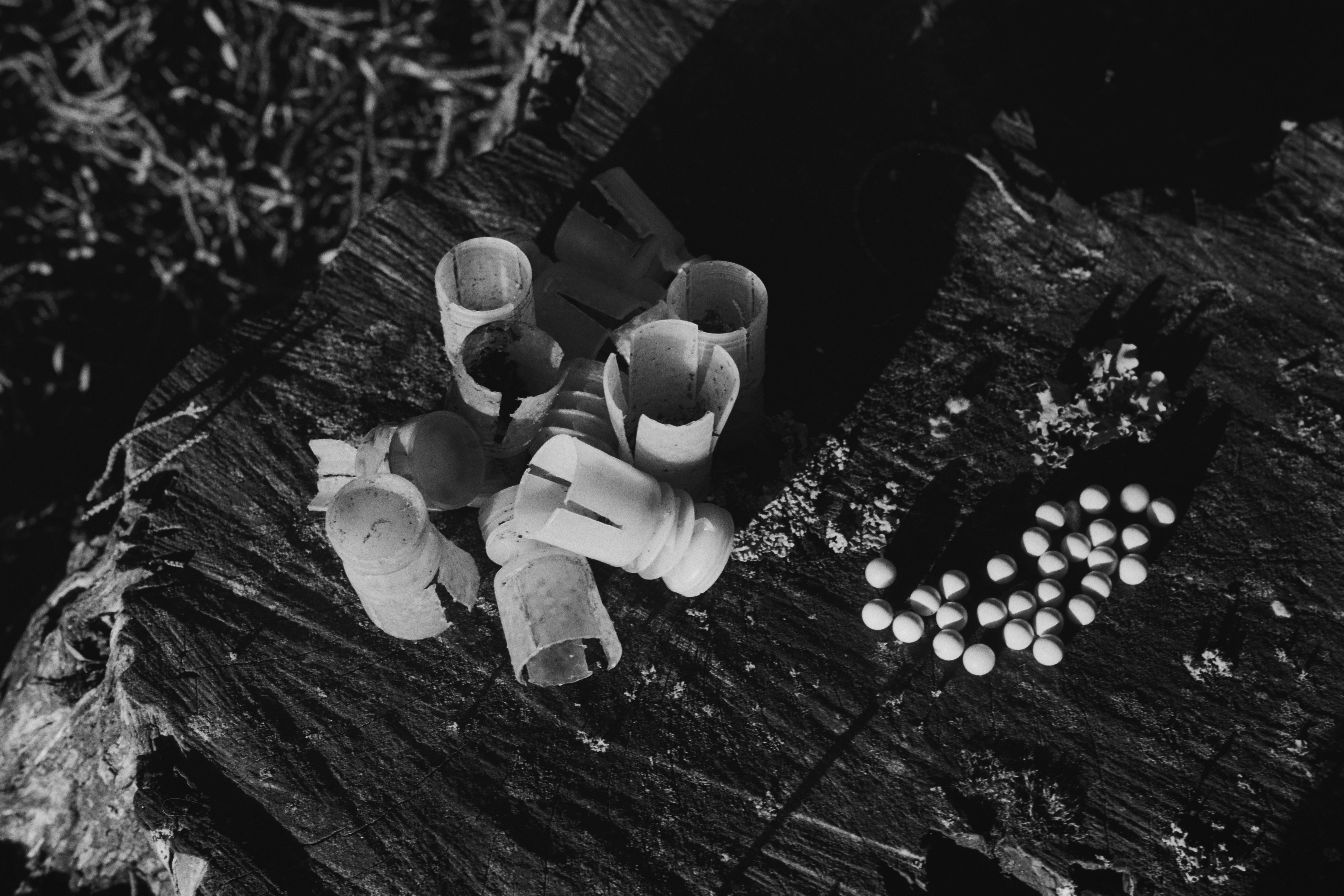 Photo by silentfabrik