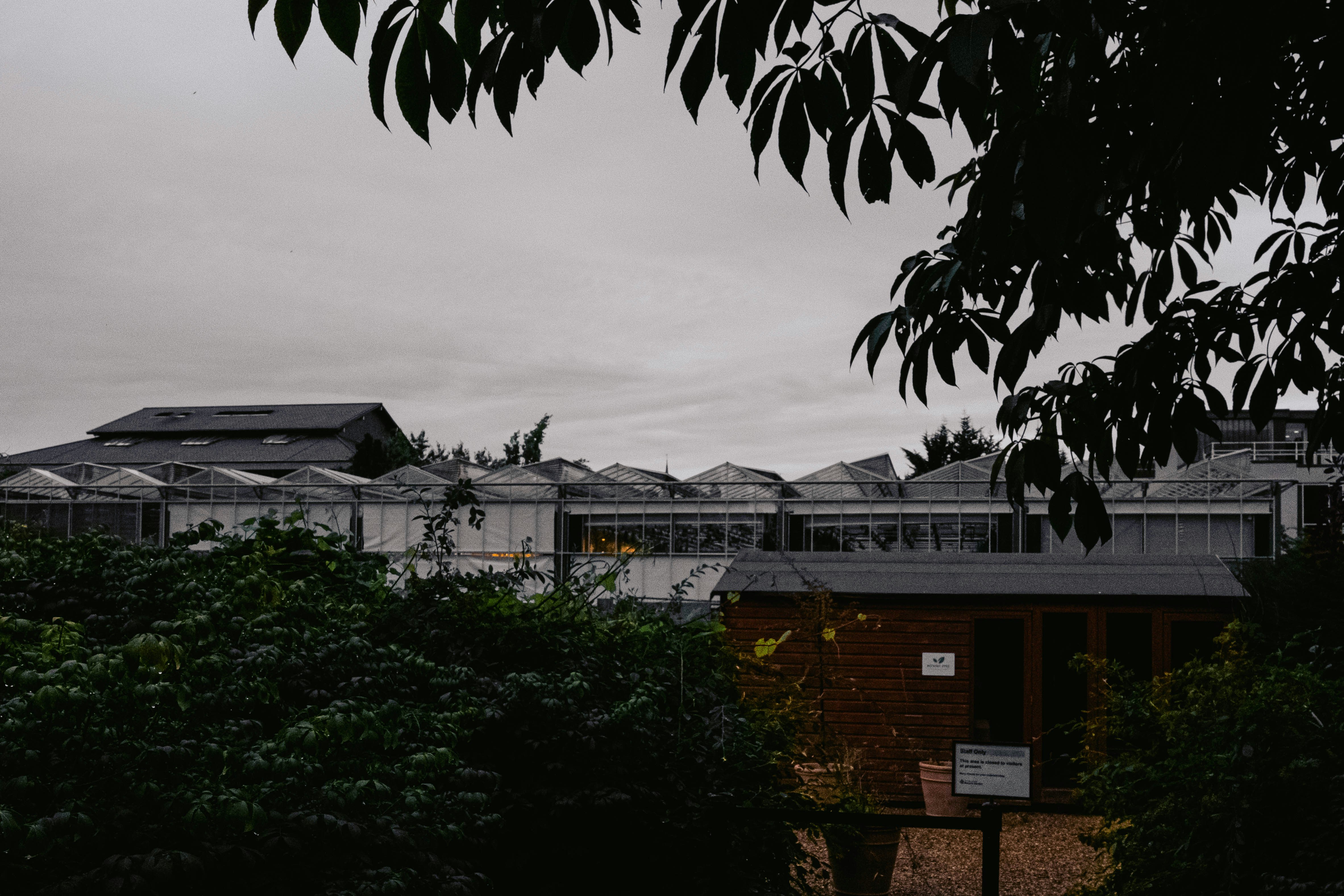 Photo by panther_moderns