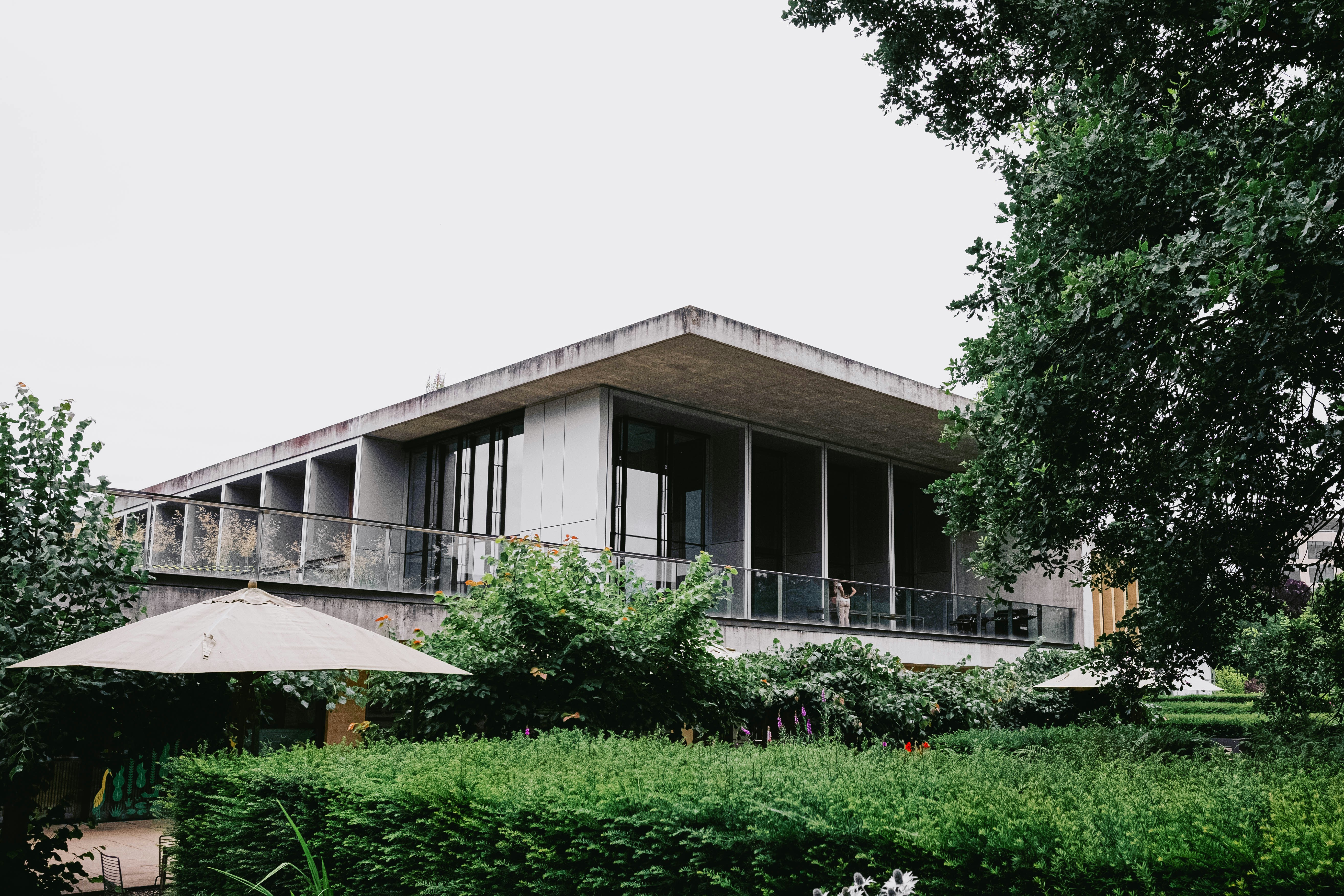 Photo by panther_moderns