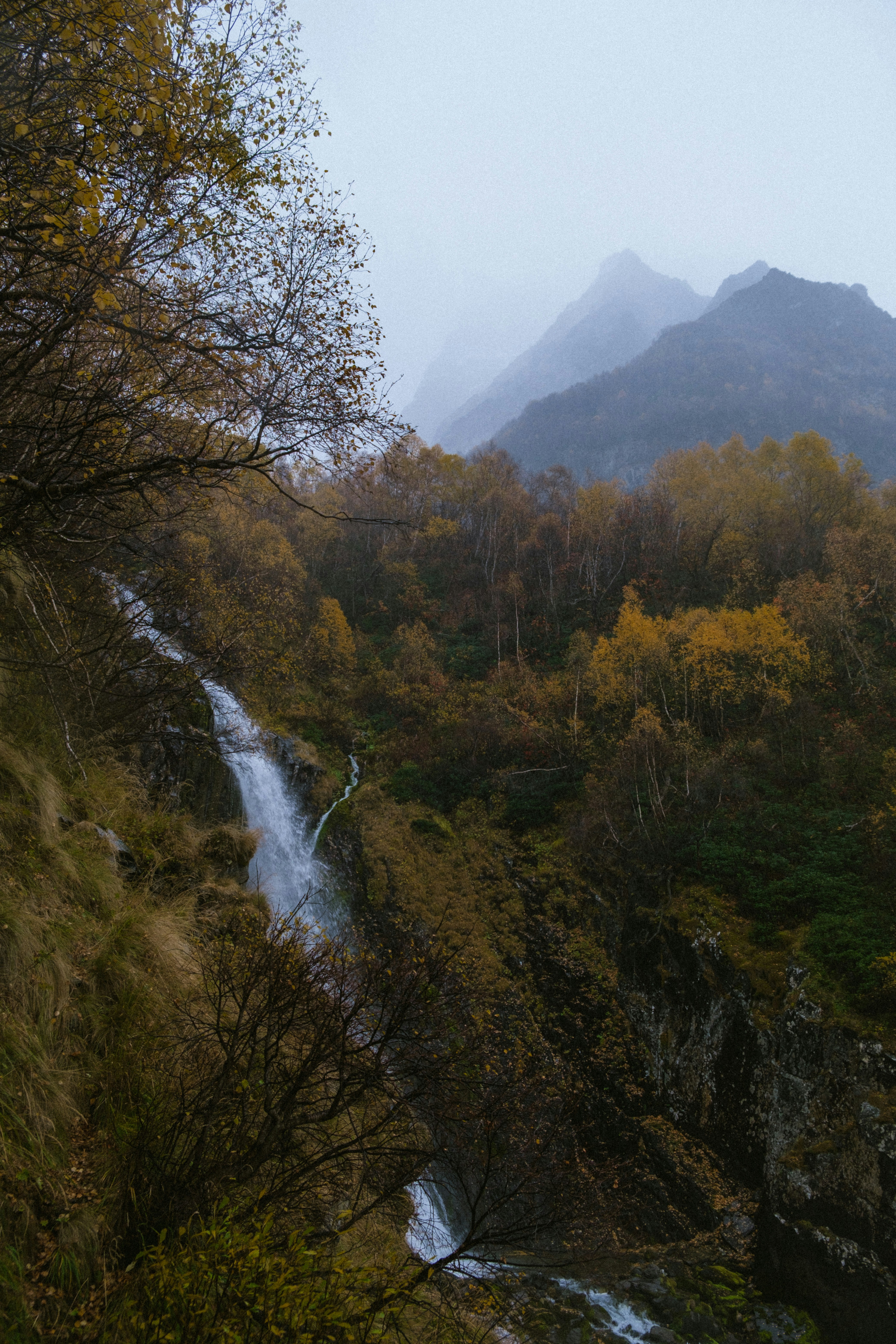 A waterfall in the middle of a forest with mountains in the background
