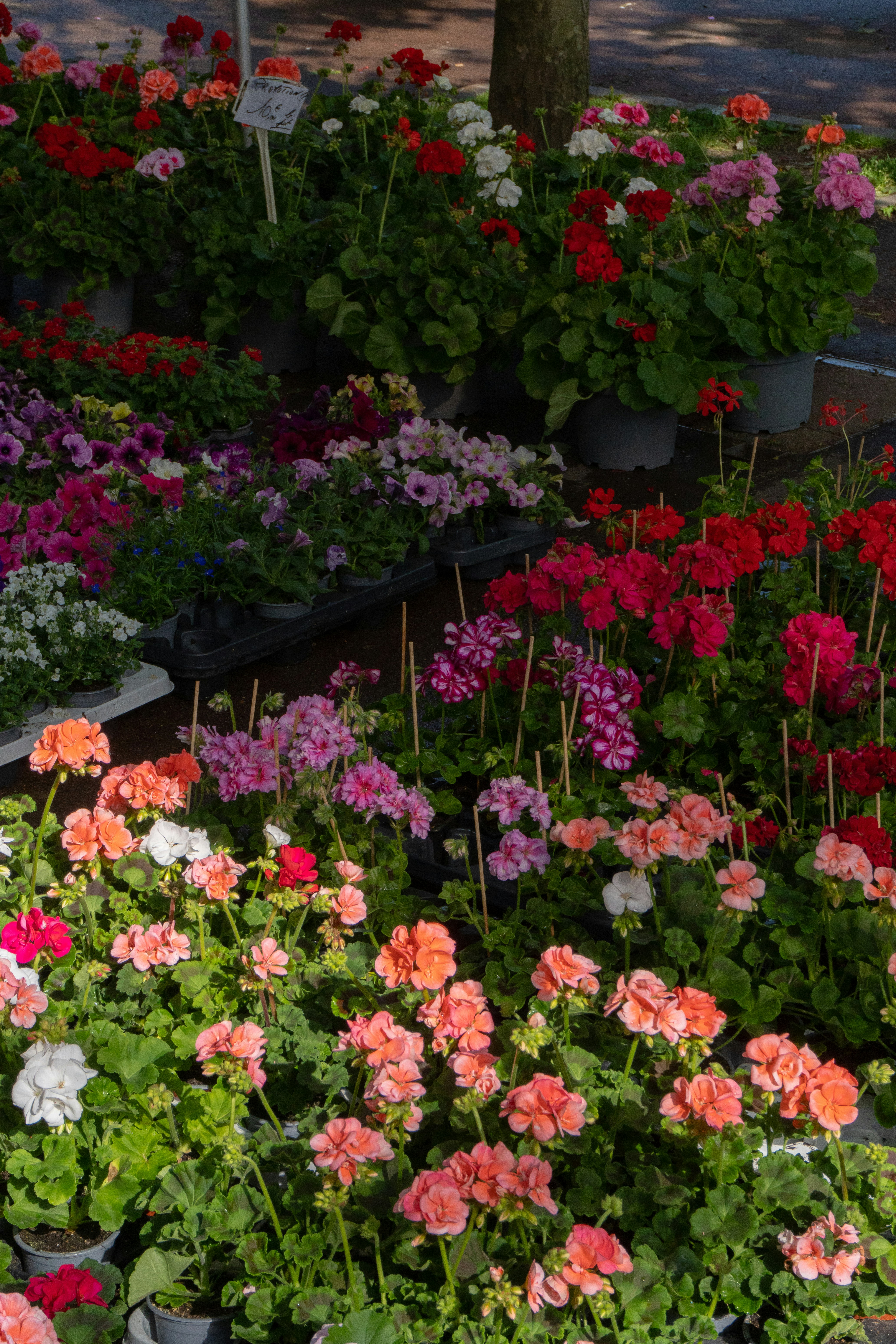 Photo by eliott_goutard