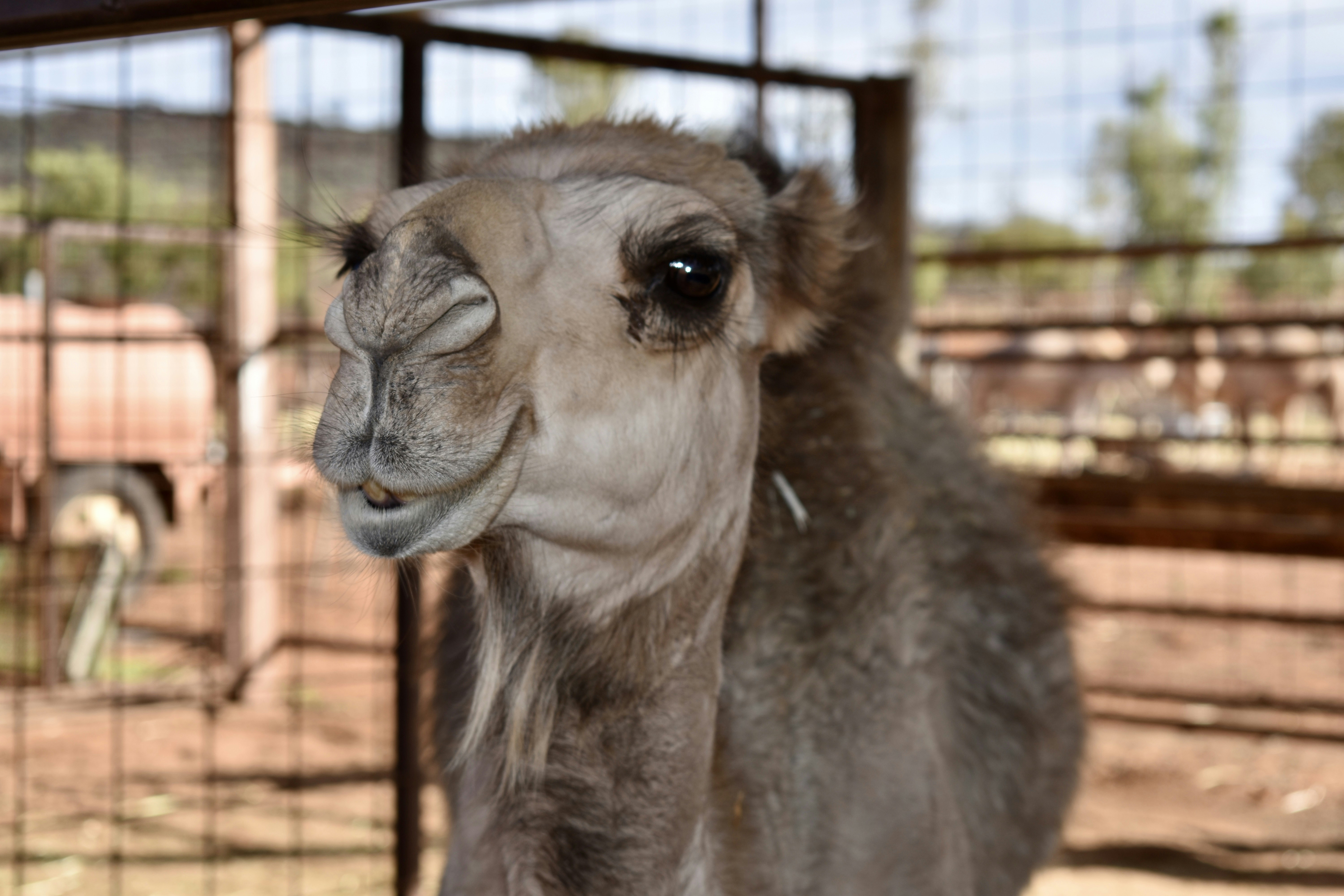 Photo by lisastockton