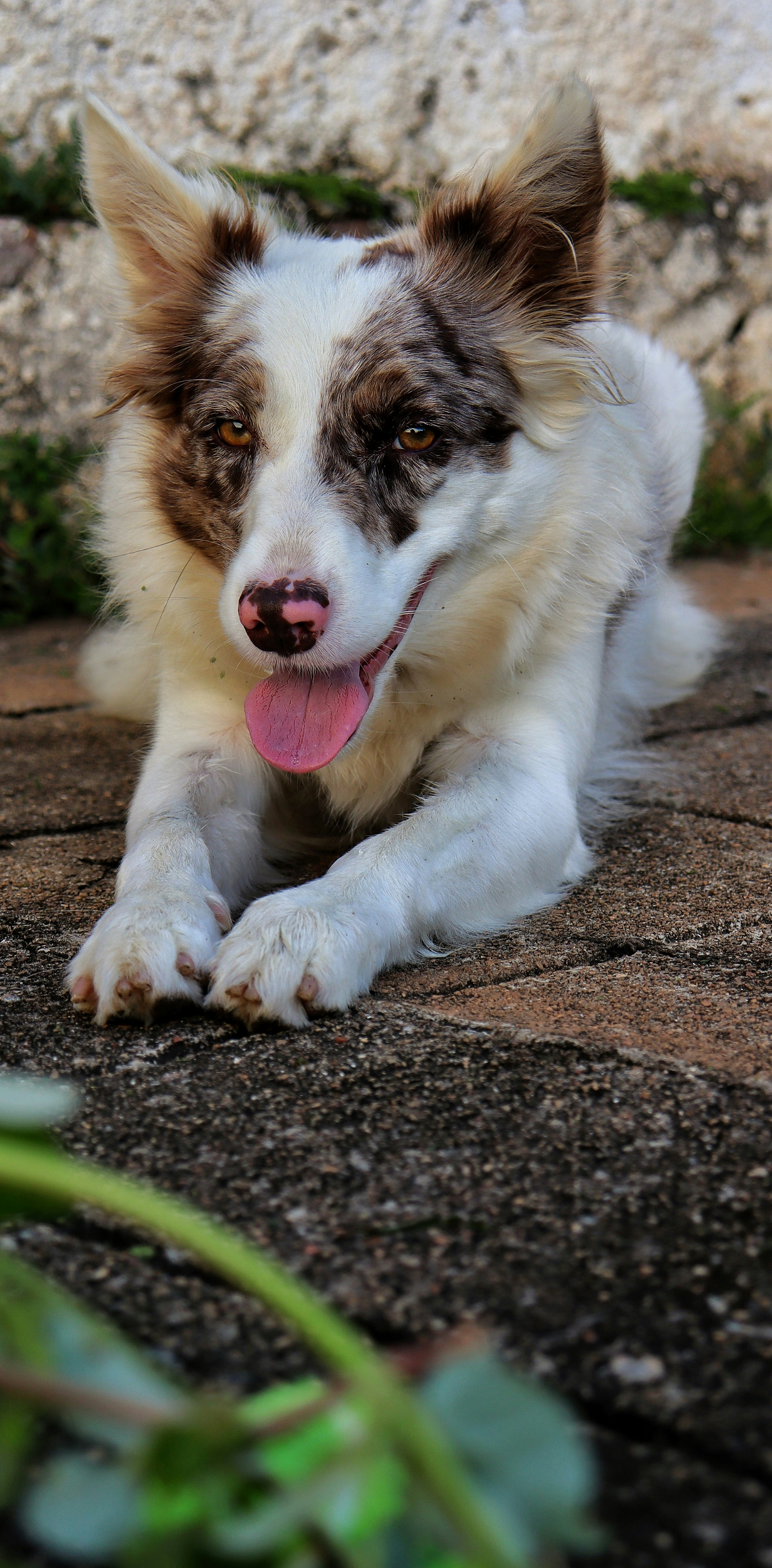 Photo by caio_delarolle