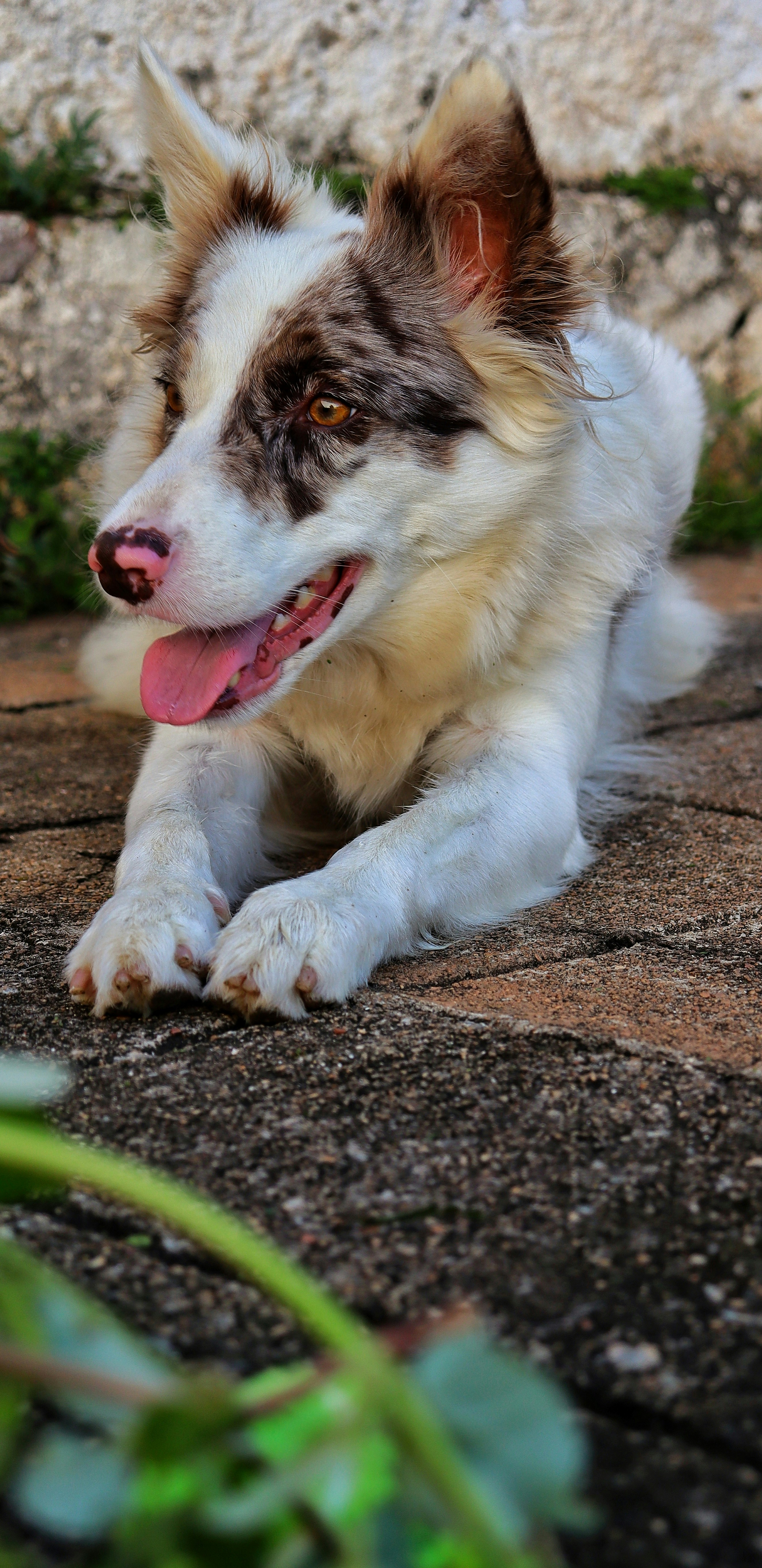 Photo by caio_delarolle