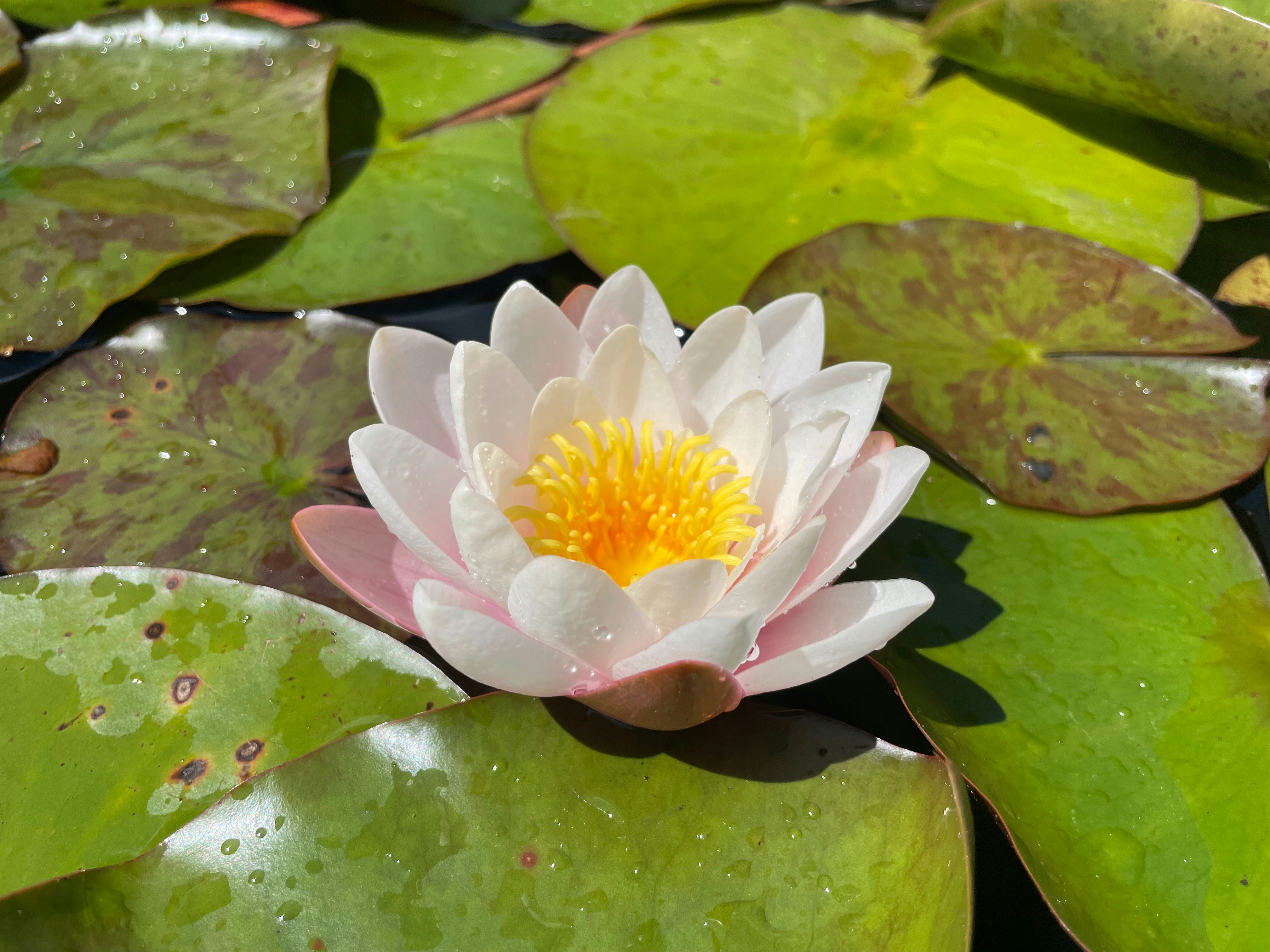 Photo by s_haigh2010