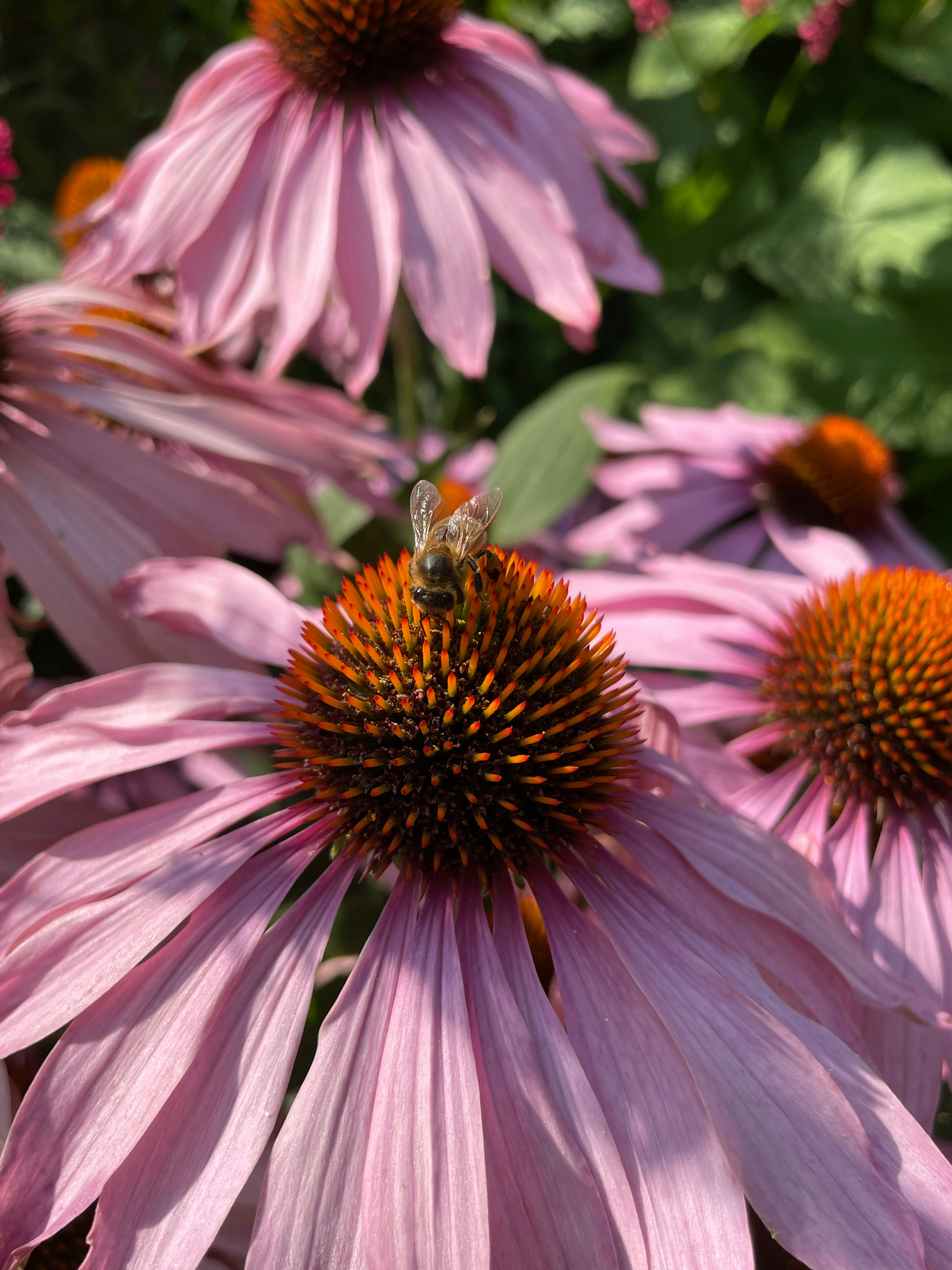 Photo by s_haigh2010