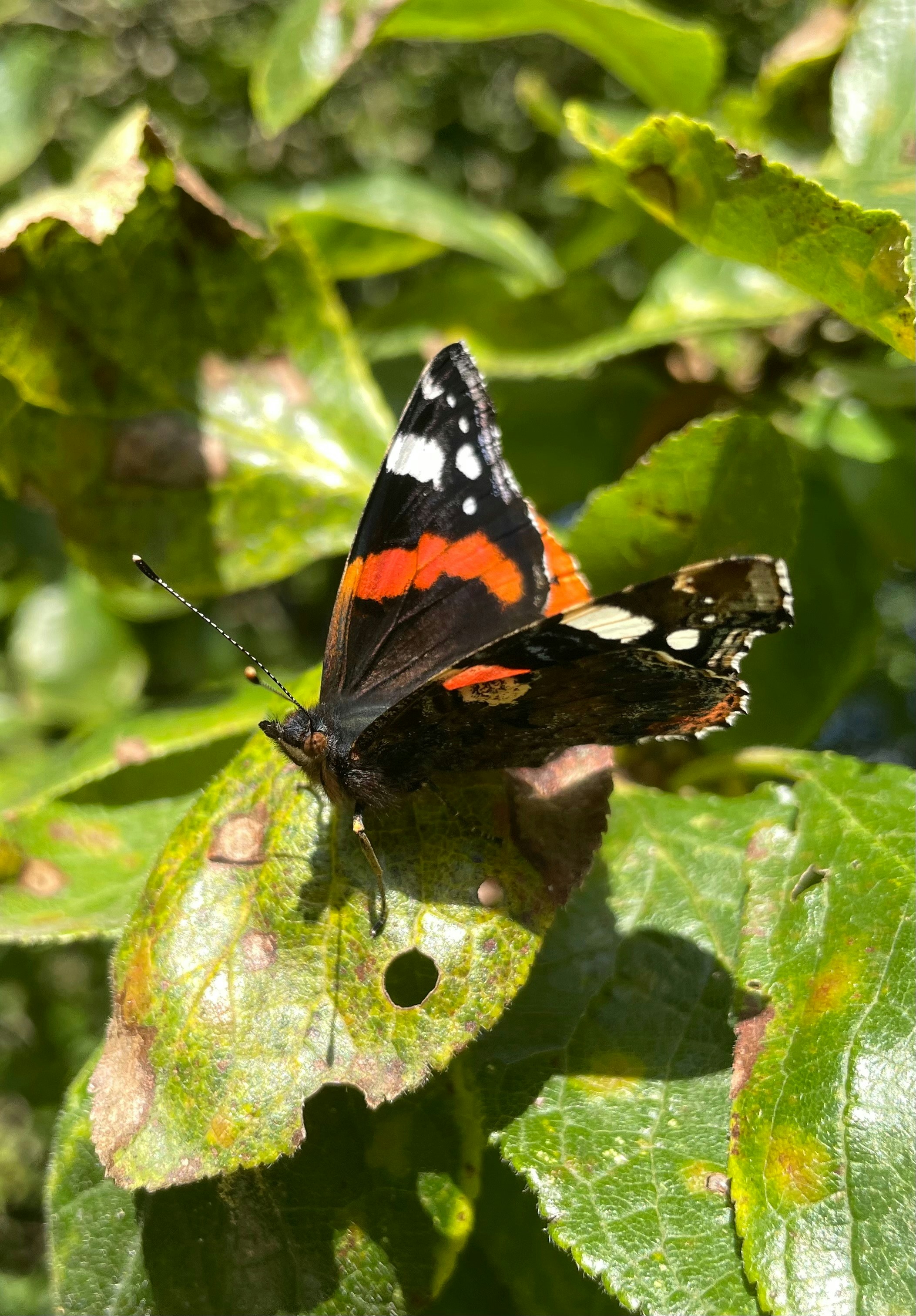 Photo by s_haigh2010