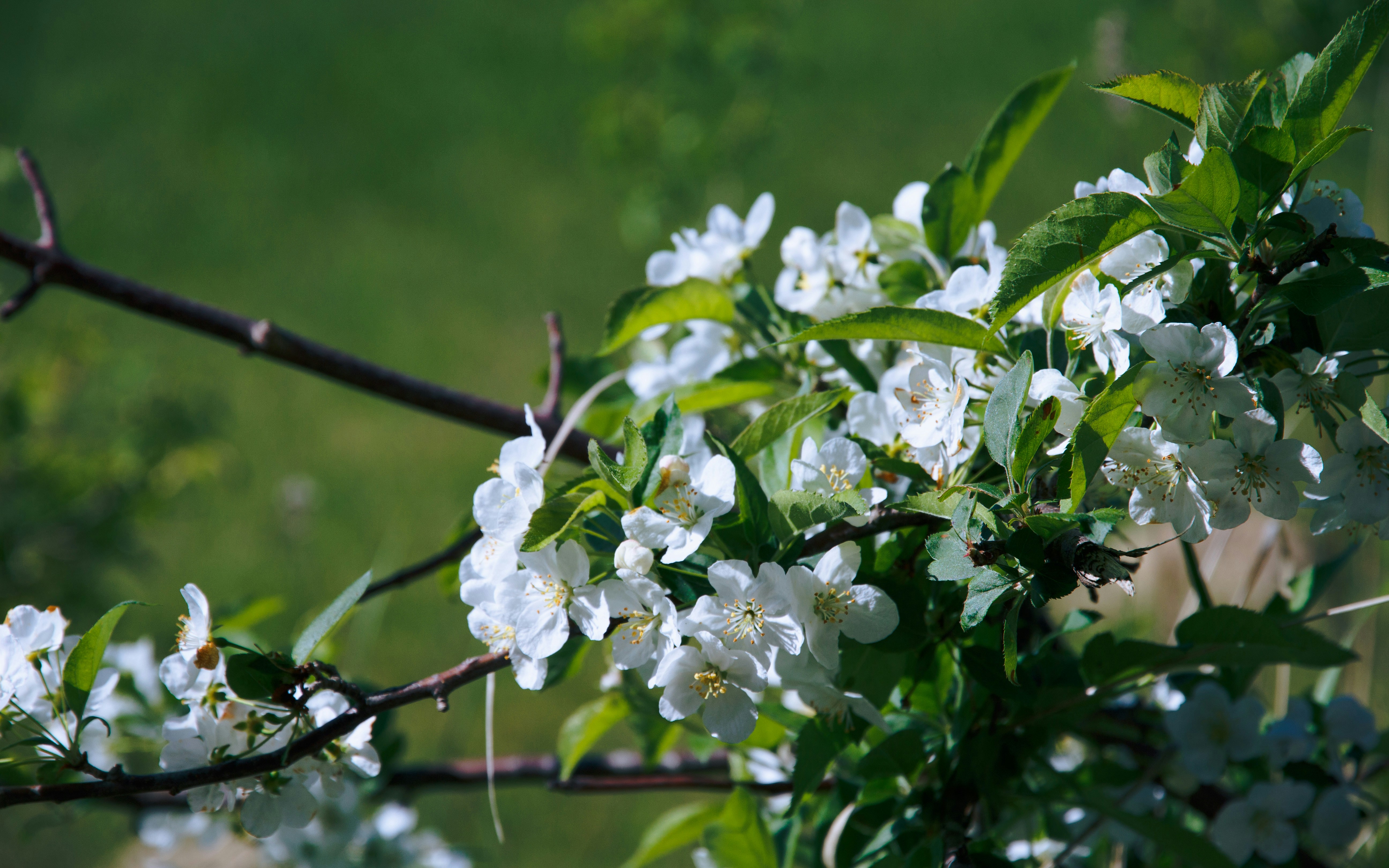 Photo by sara_krogh_