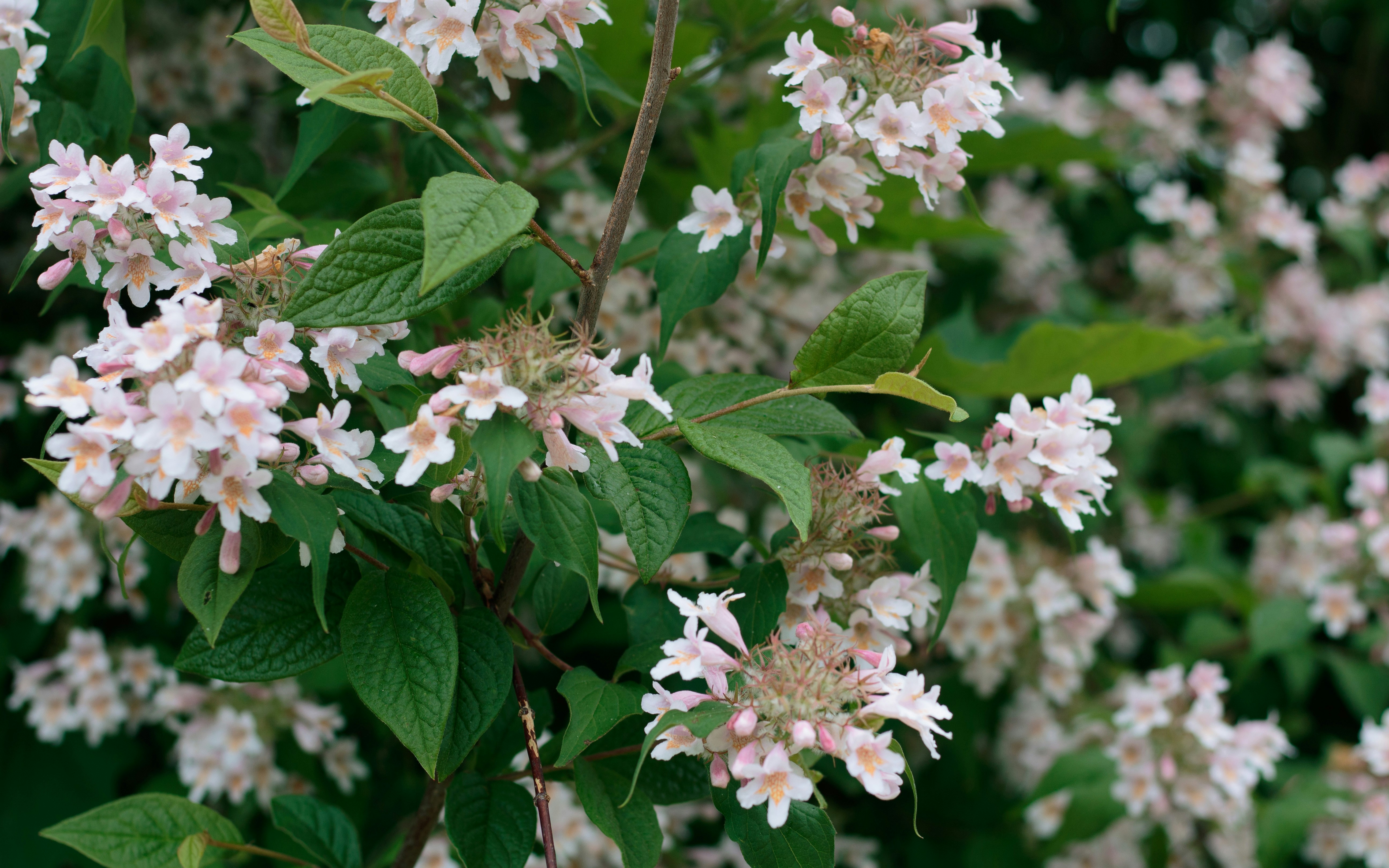 Photo by sara_krogh_