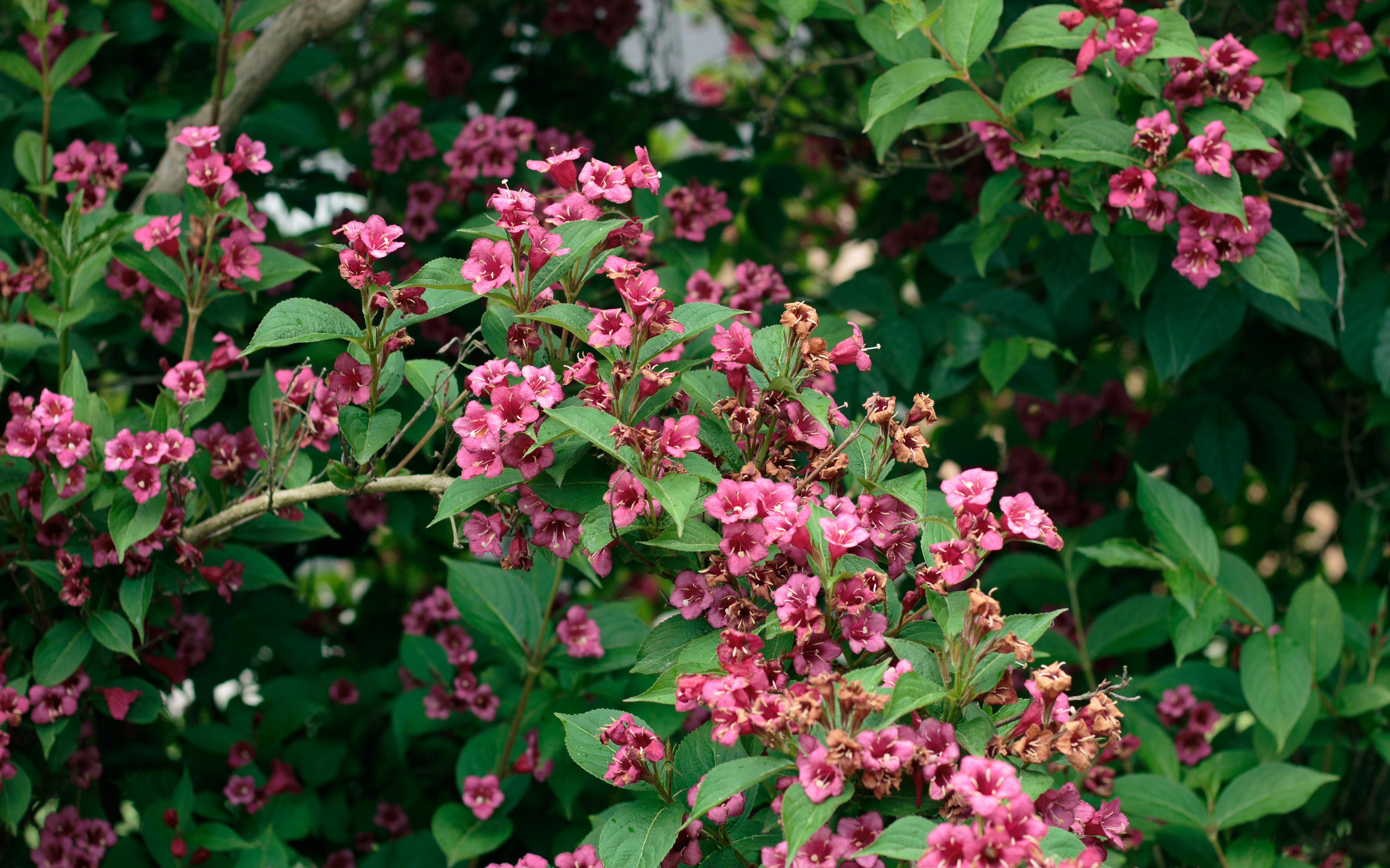 Photo by sara_krogh_