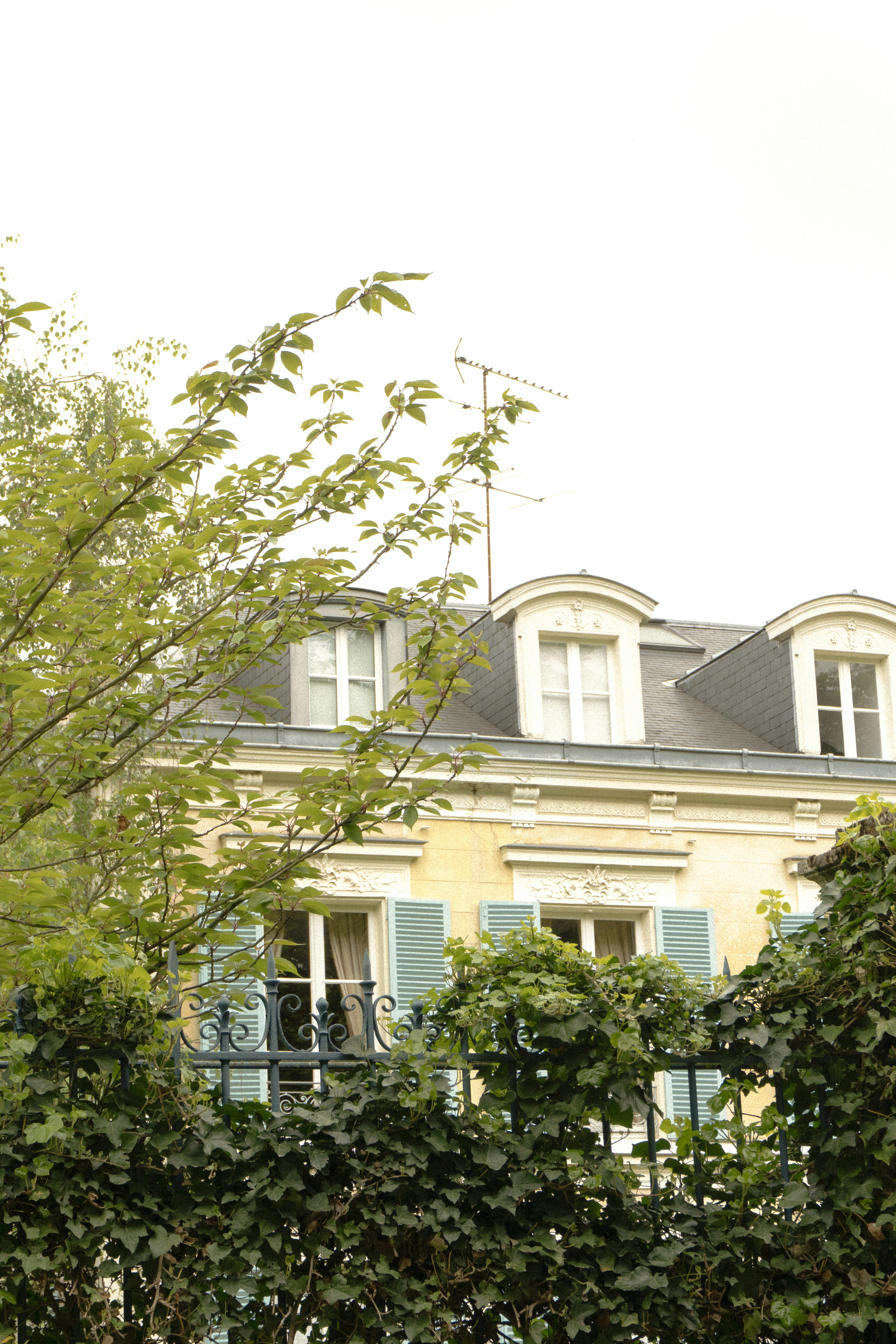 Photo by eliott_goutard