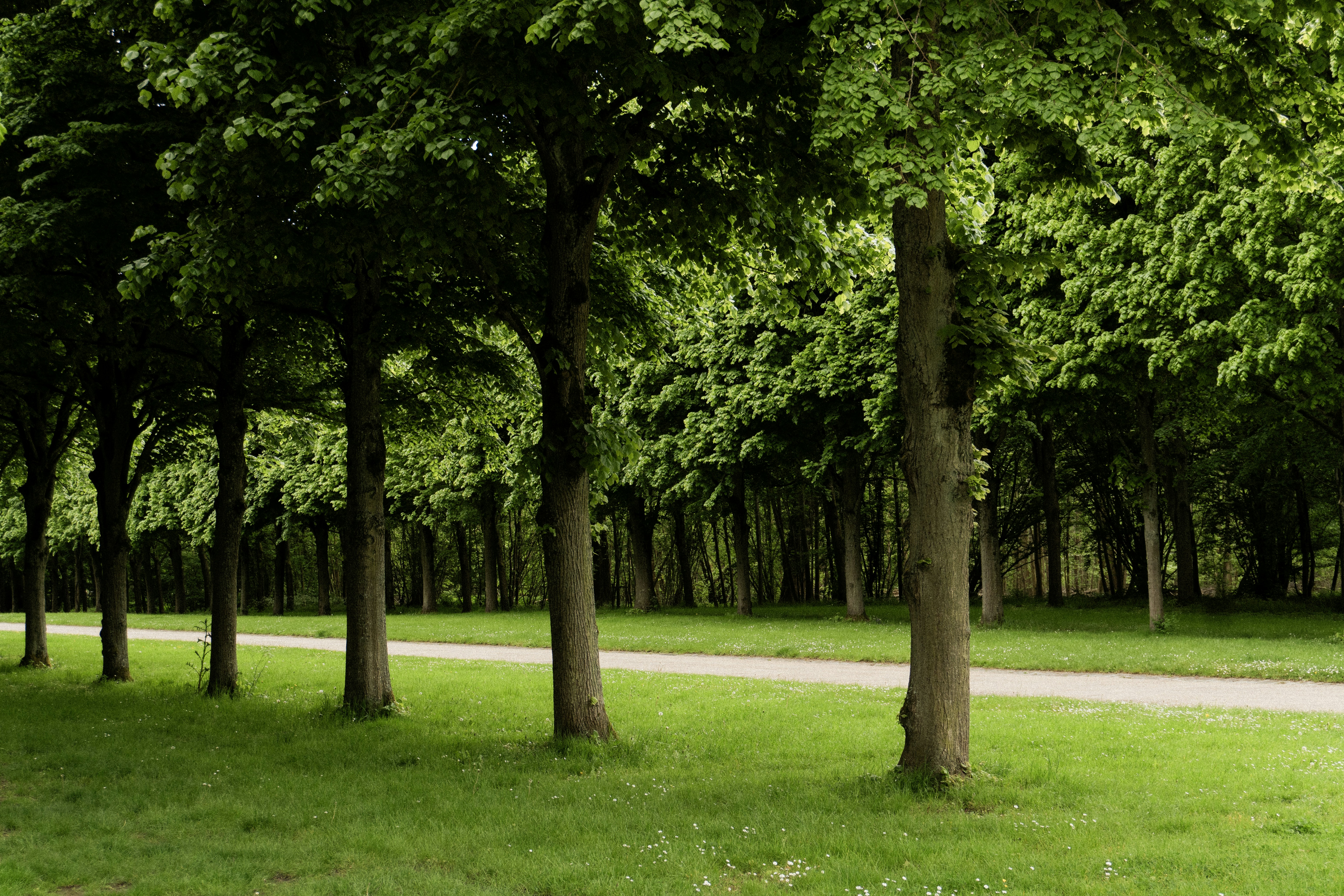 Photo by eliott_goutard