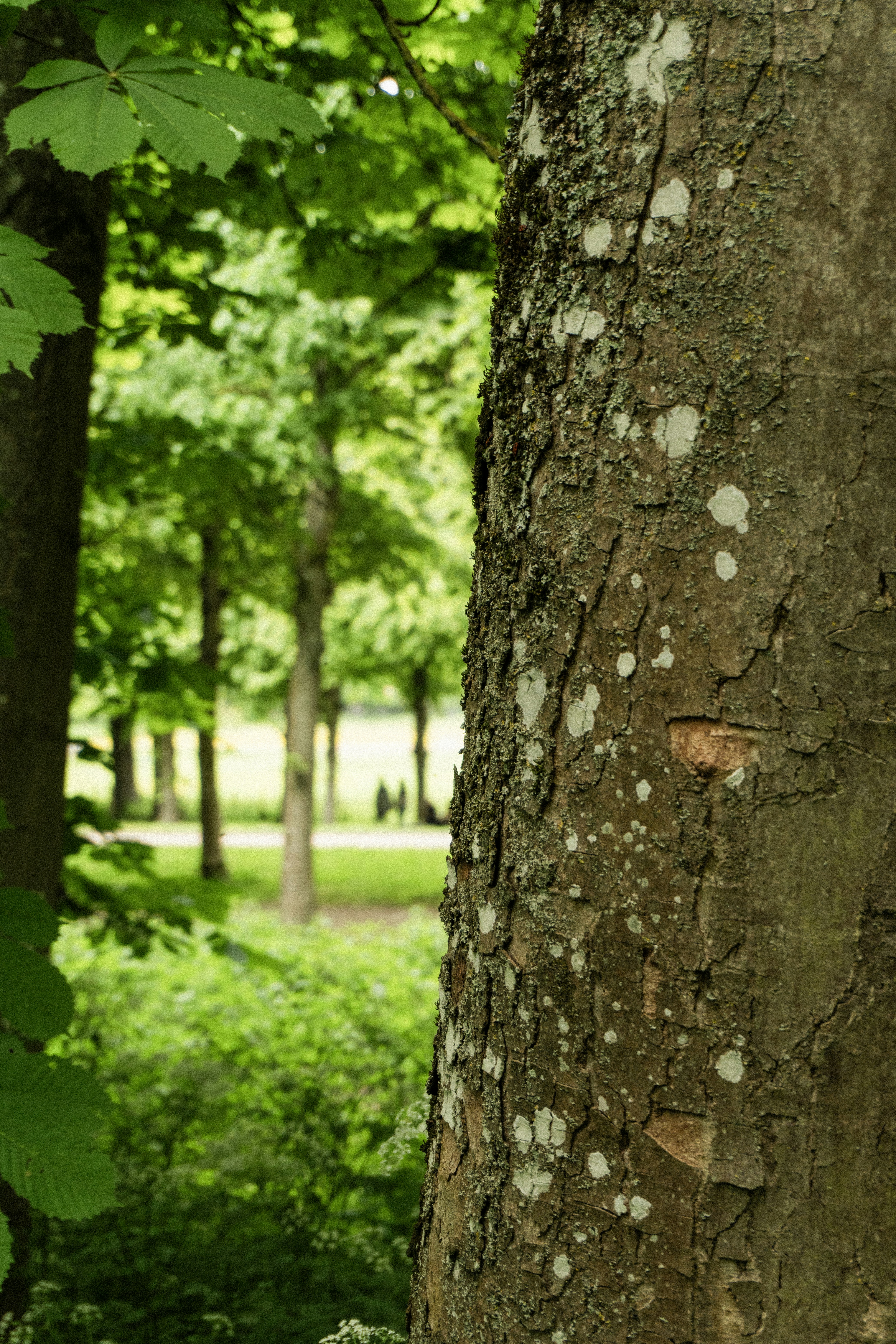 Photo by eliott_goutard