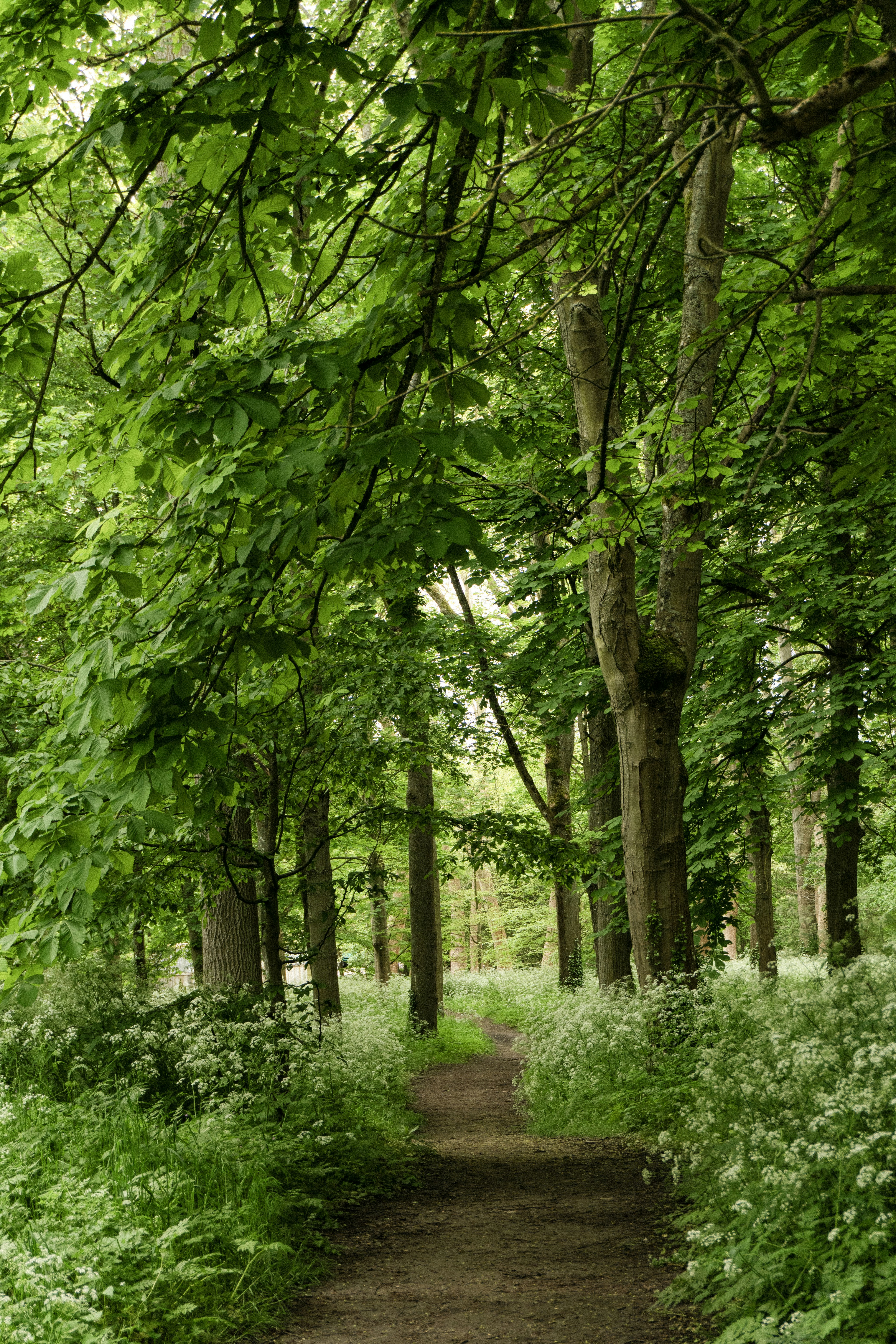 Photo by eliott_goutard