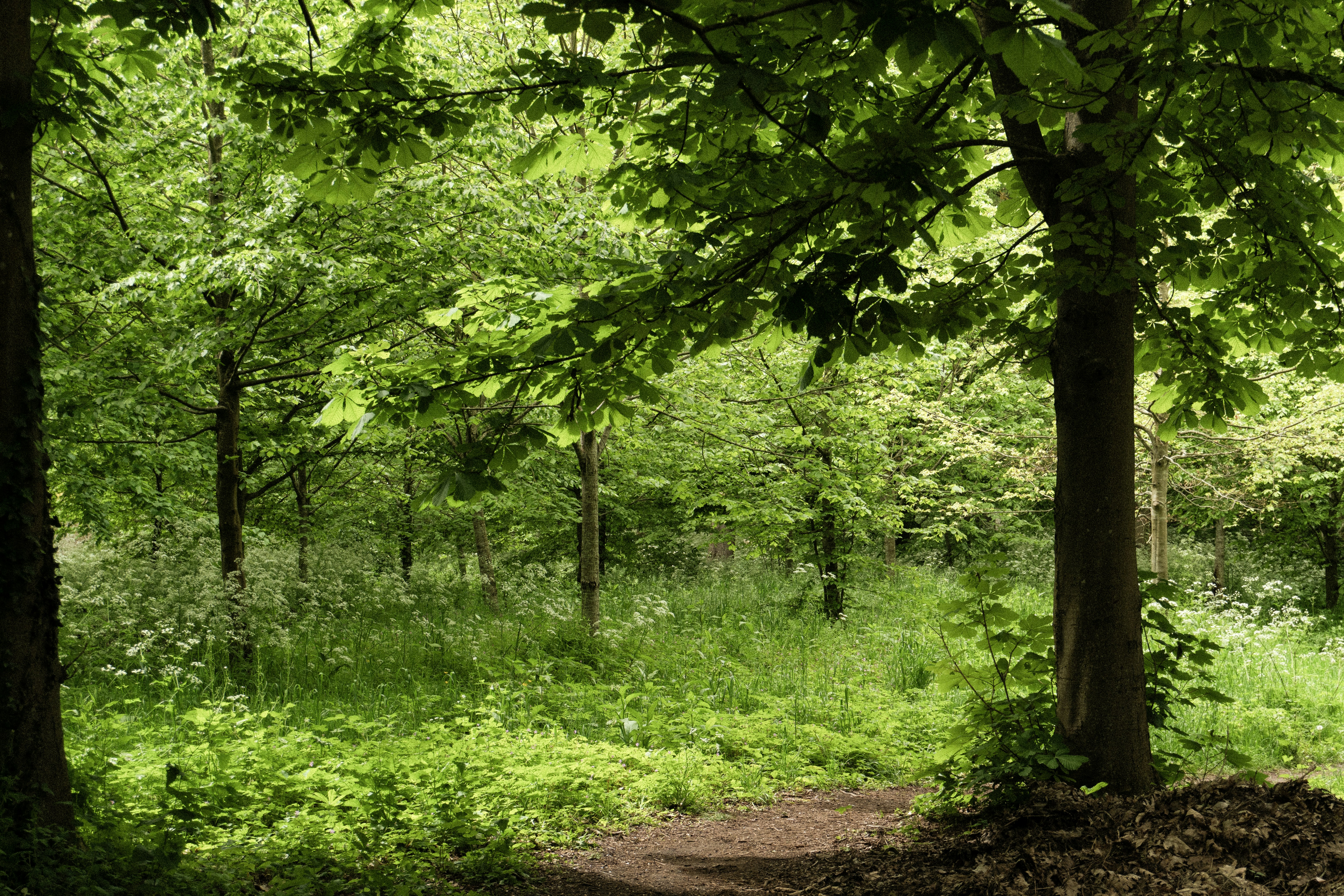 Photo by eliott_goutard