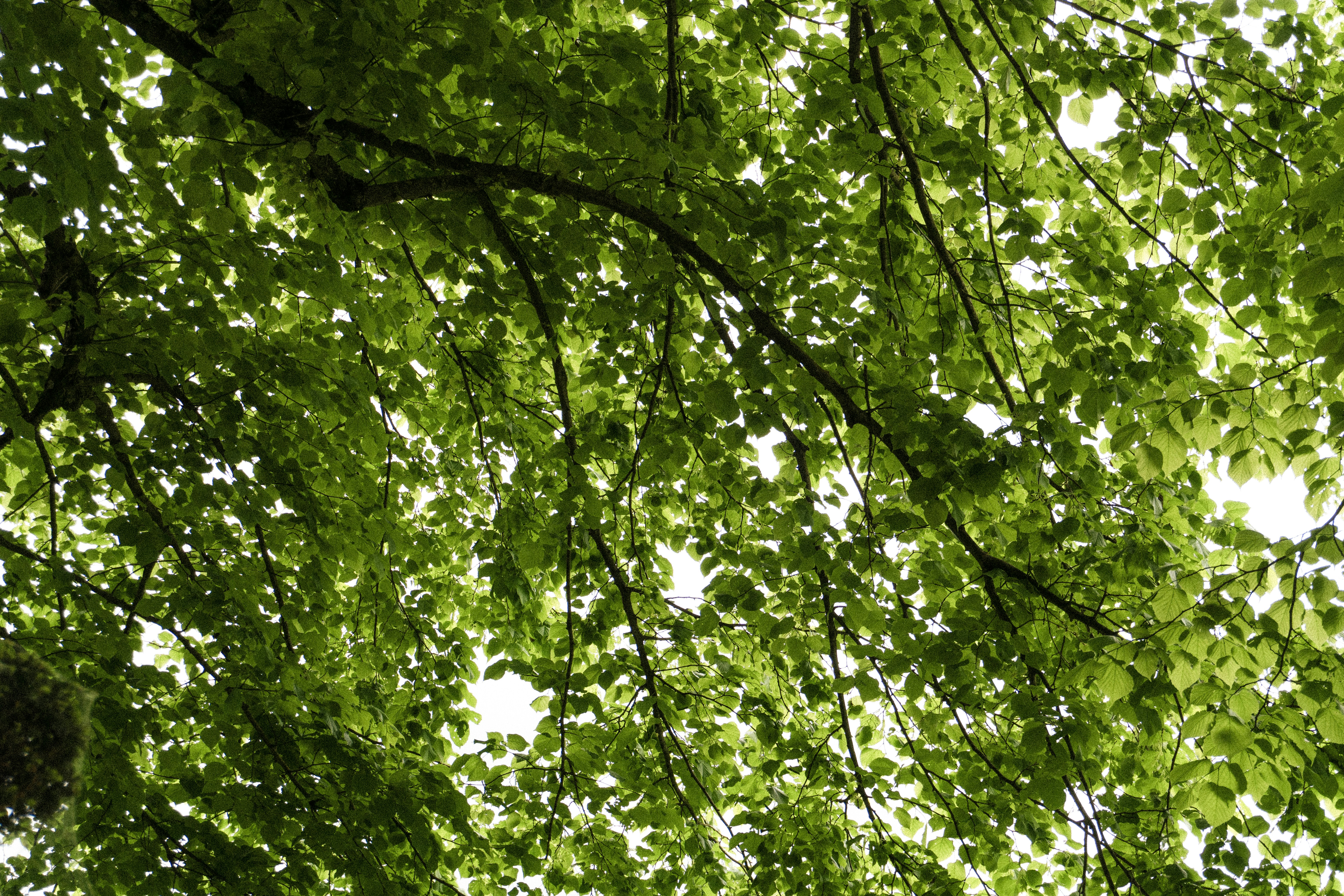 Photo by eliott_goutard