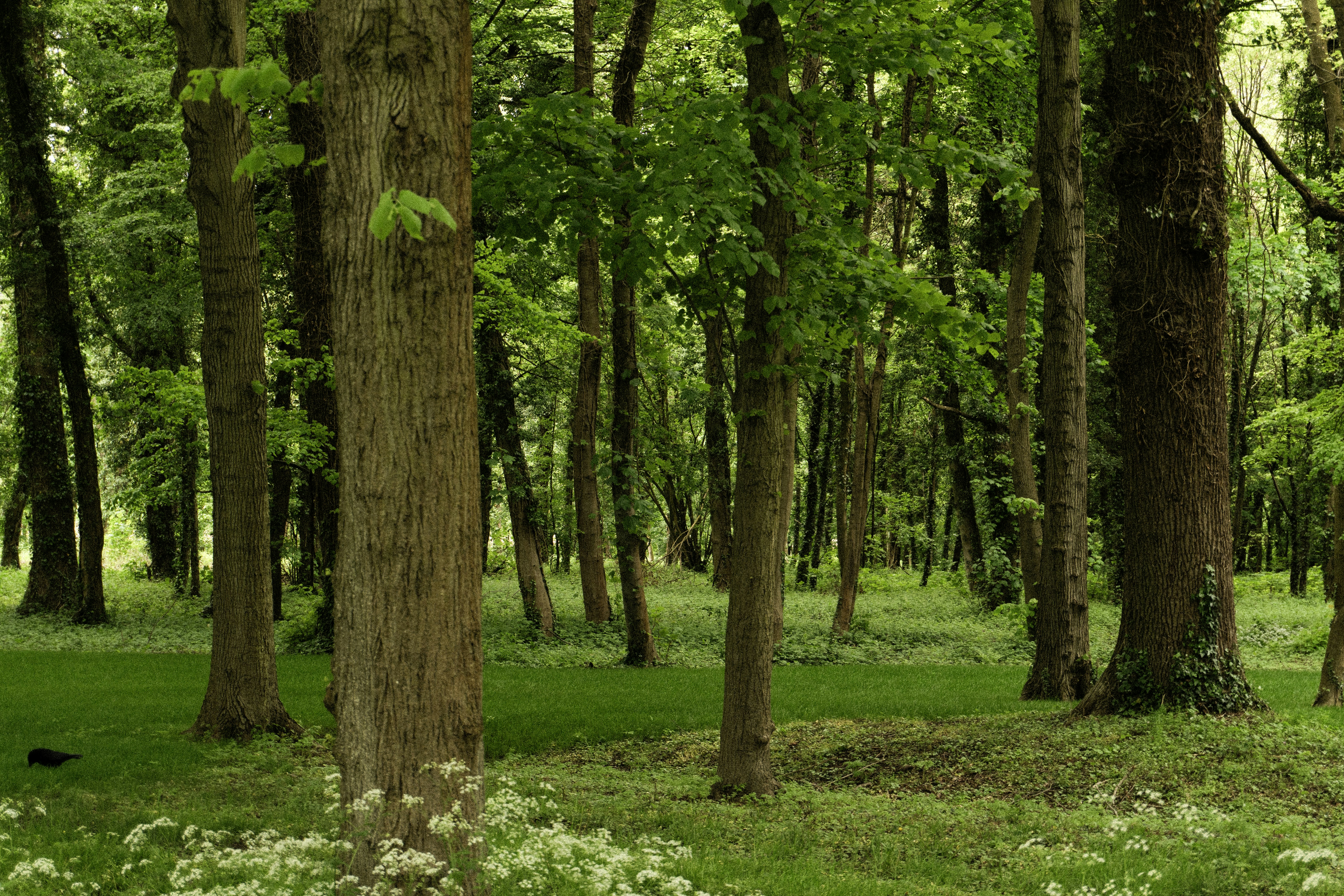 Photo by eliott_goutard