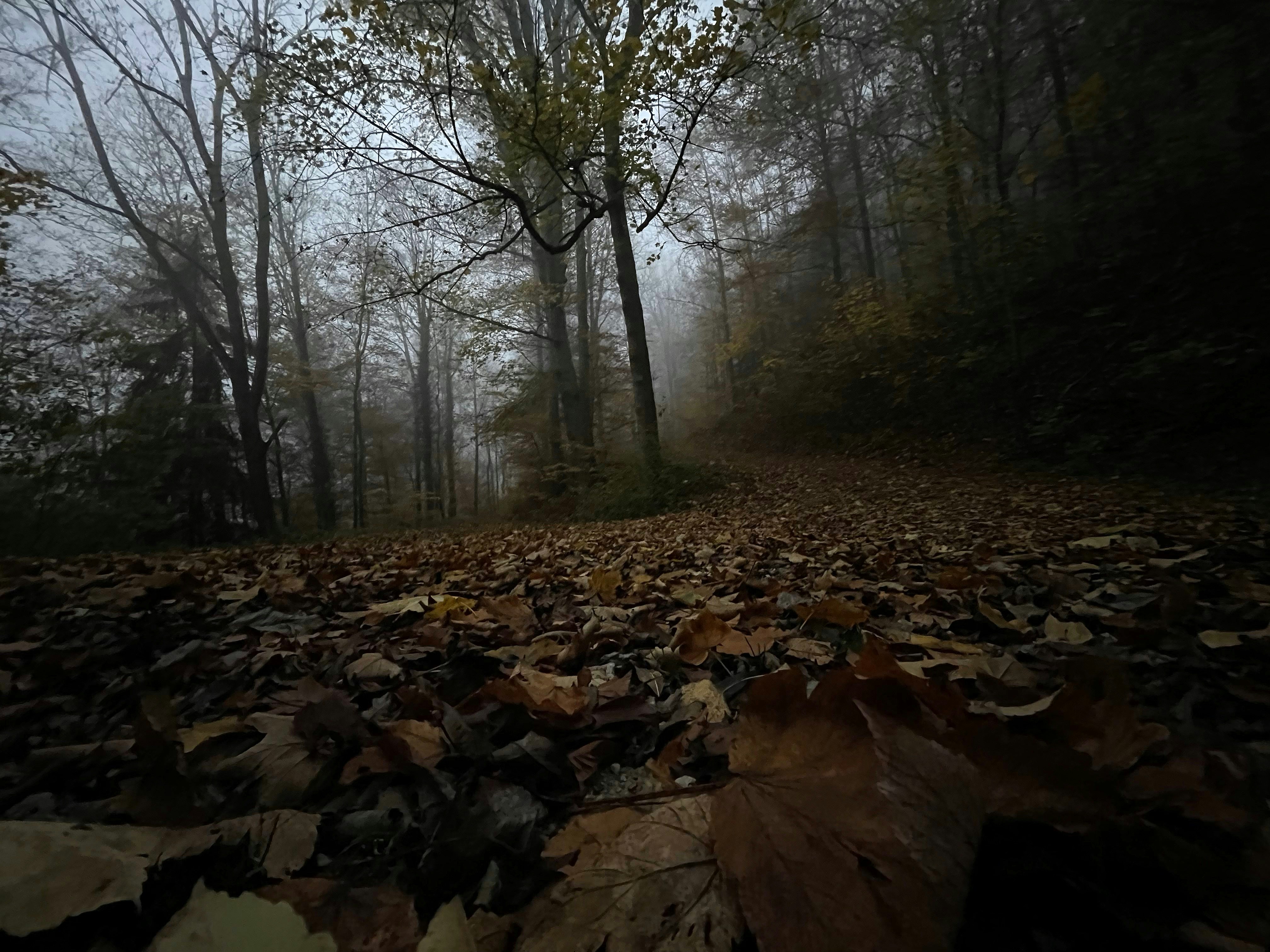 Photo by mohammadkarami