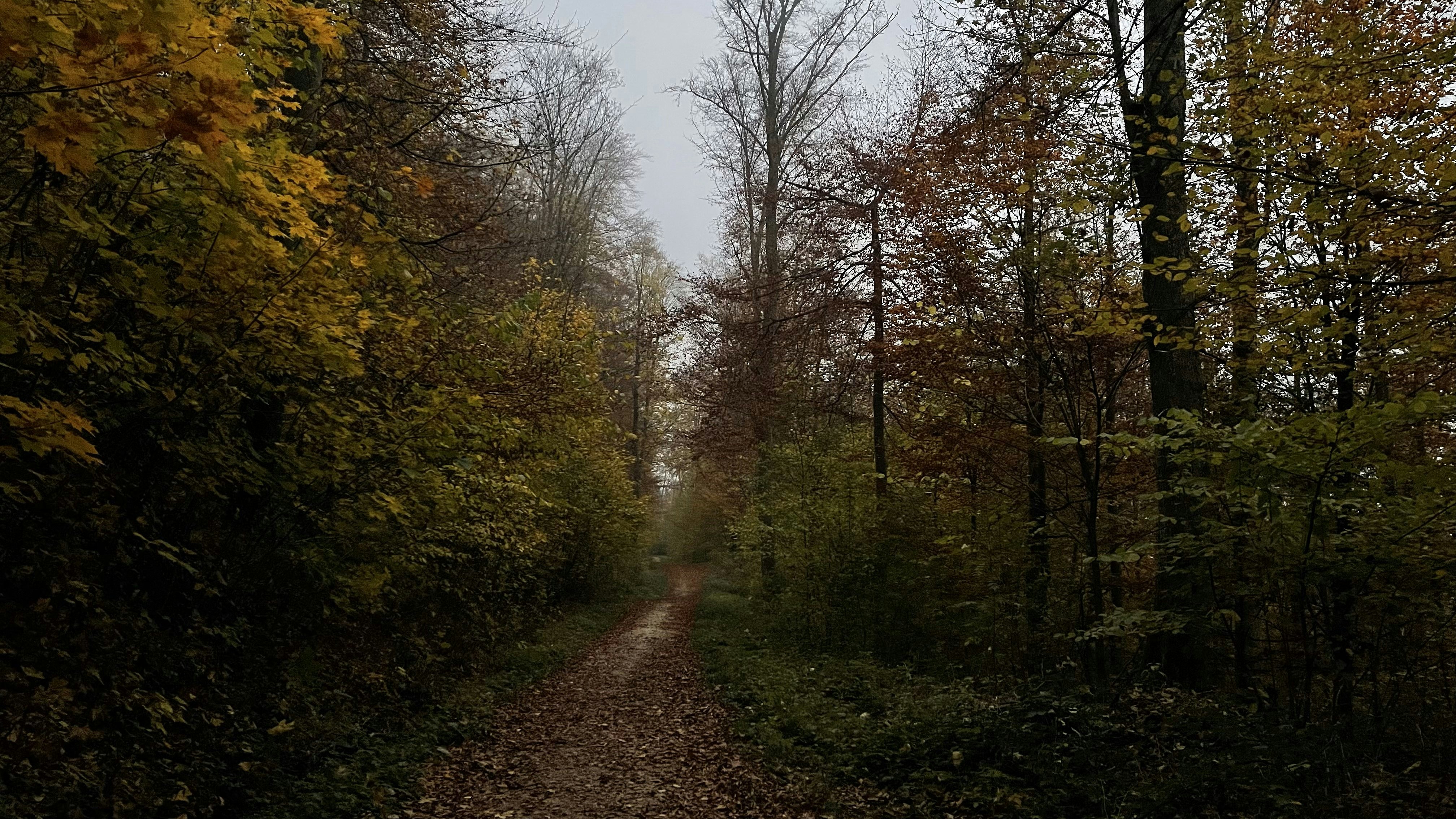 Photo by mohammadkarami