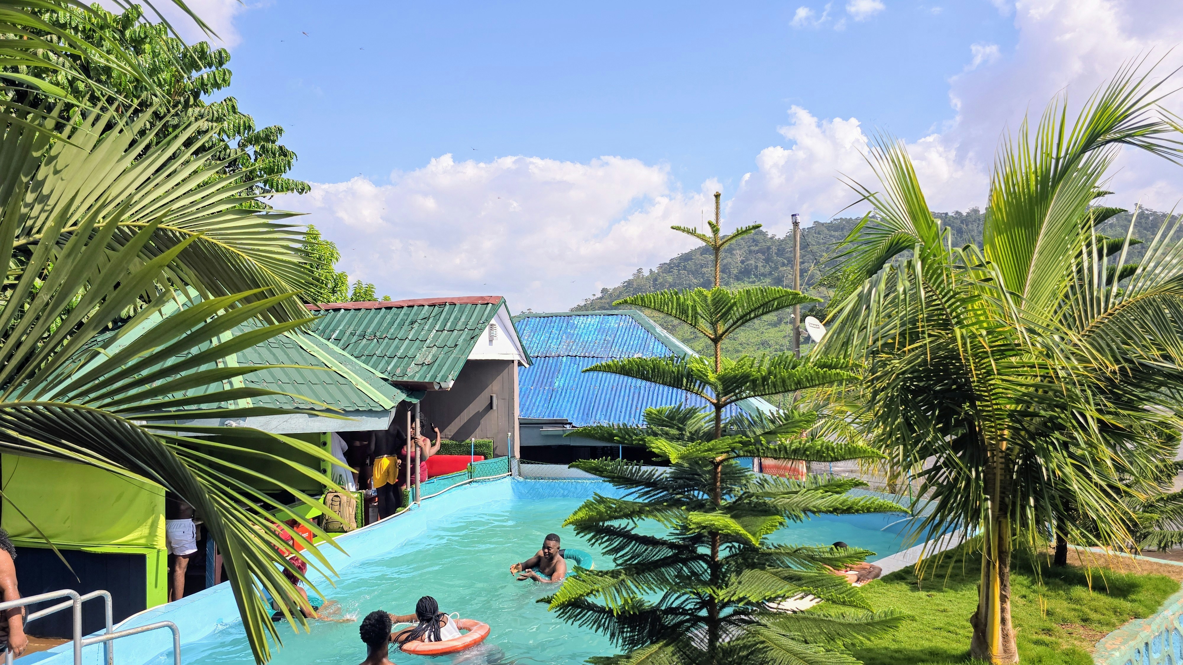 A group of people in a pool surrounded by palm trees