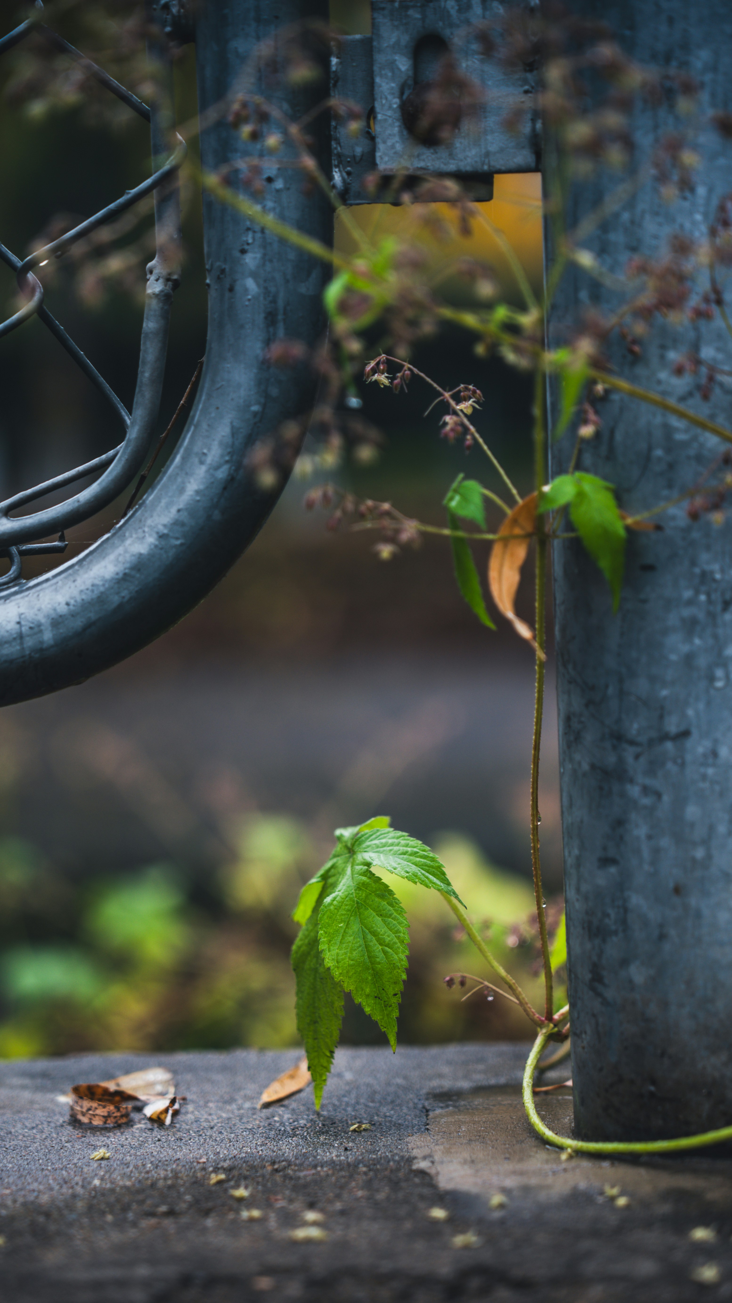 Photo by peek_a_boo_who