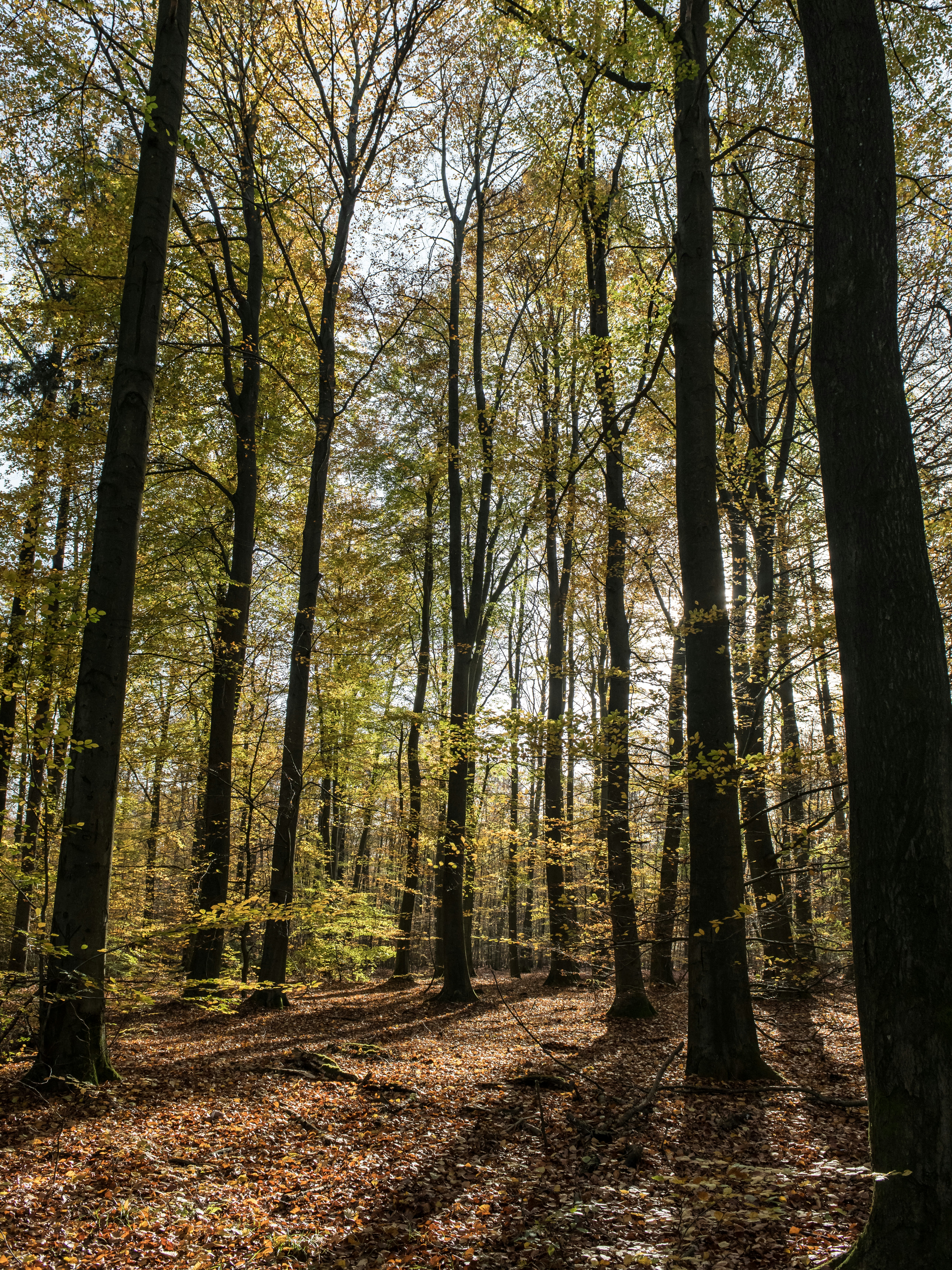 Photo by hamburgmeinefreundin