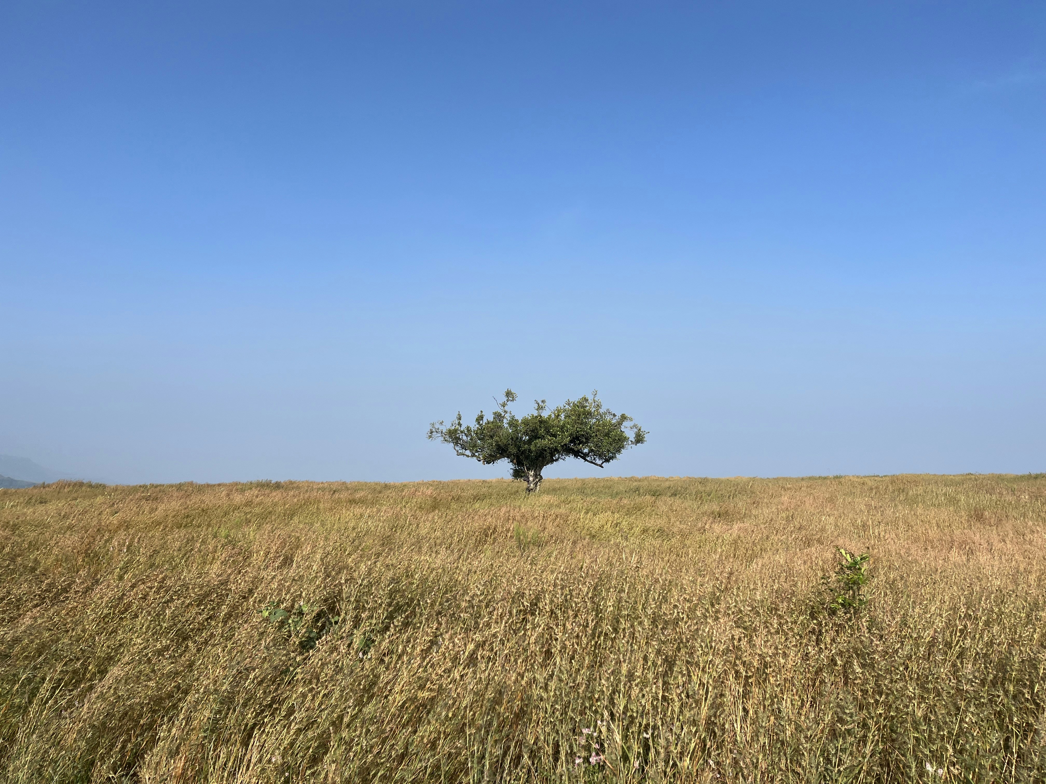 Photo by pocketlensdiaries