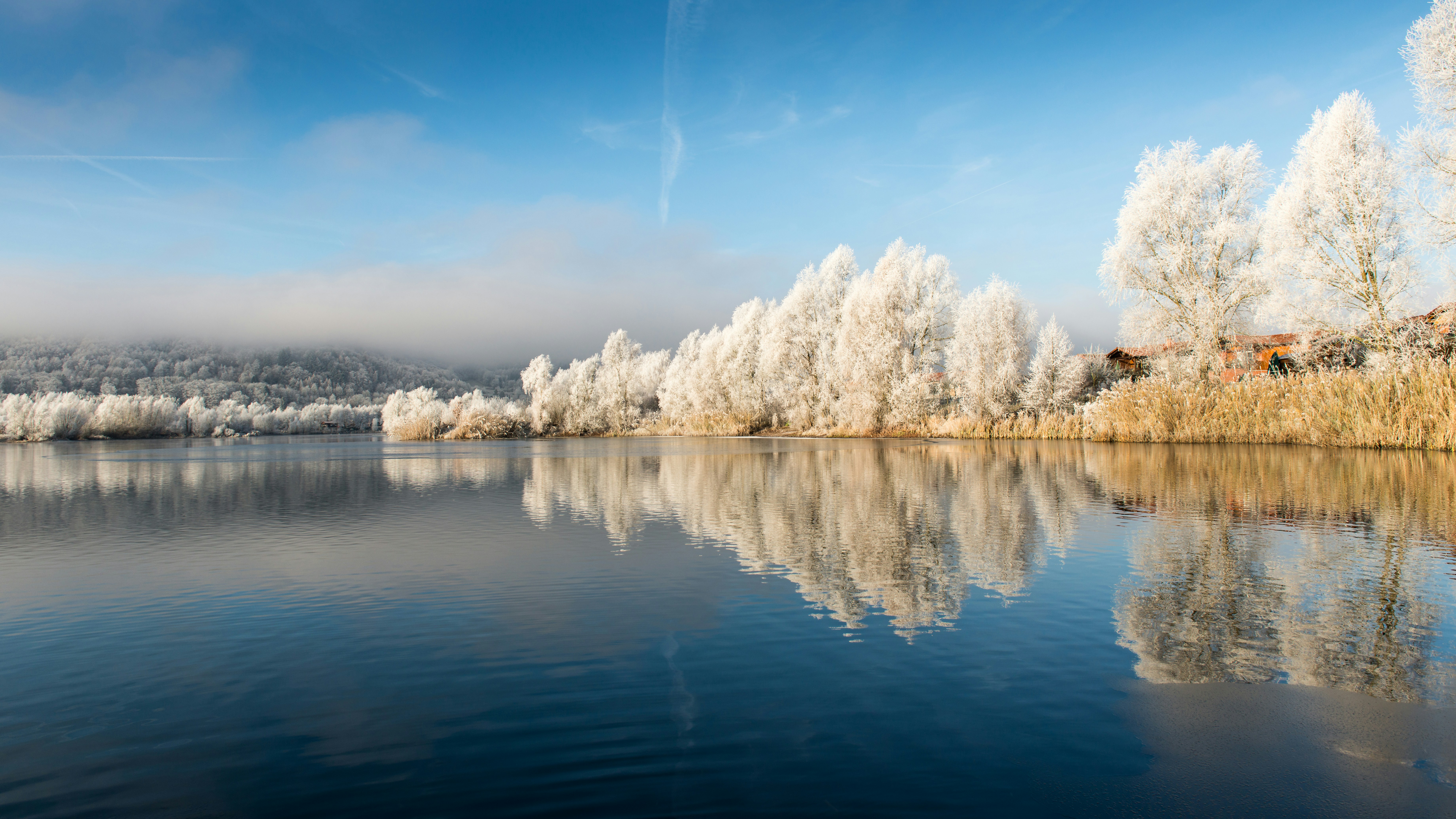 Photo by hamburgmeinefreundin