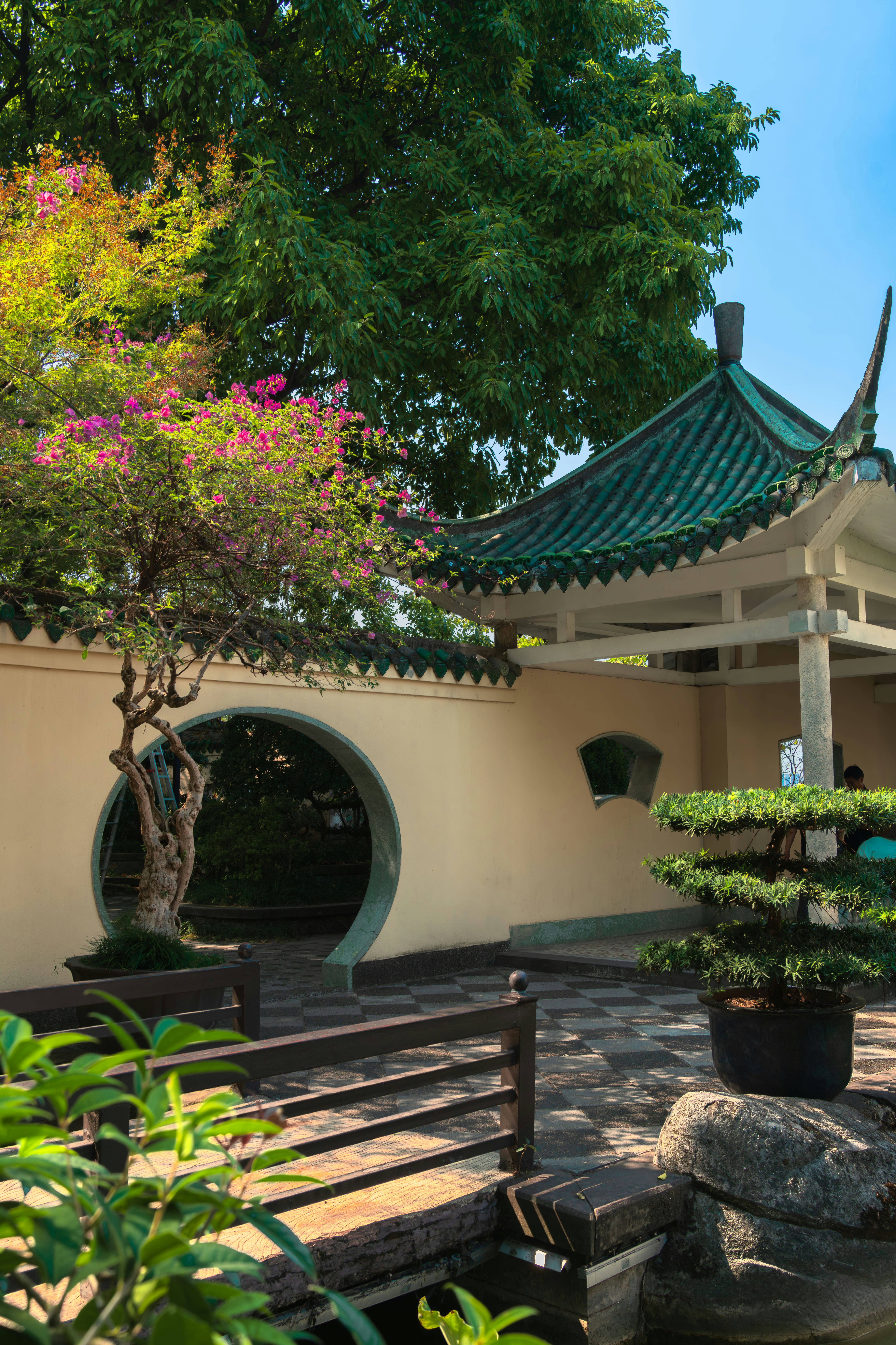 Photo by hattrick1996