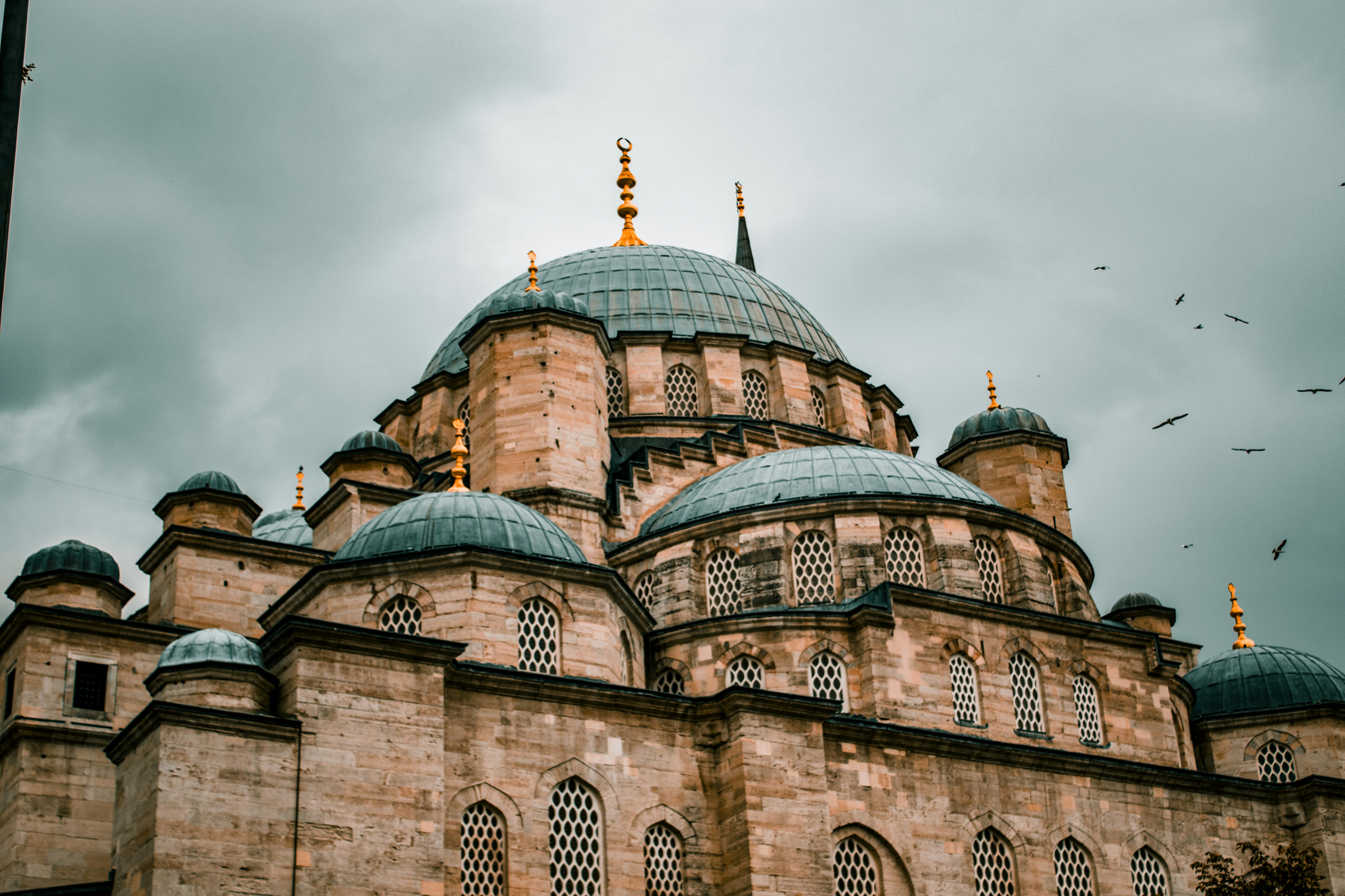 Photo by servetphotograph