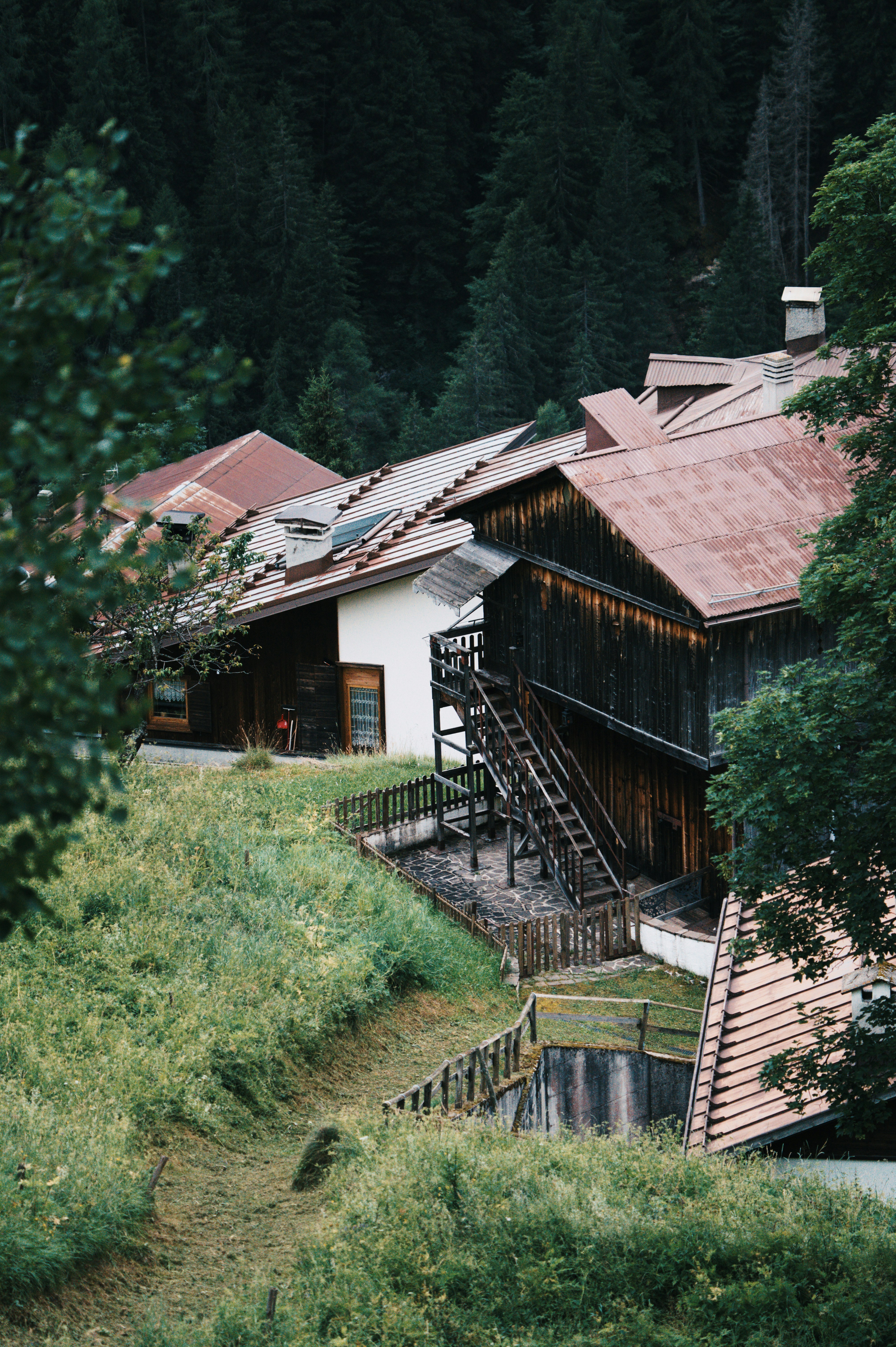 Photo by naturelensephotographer