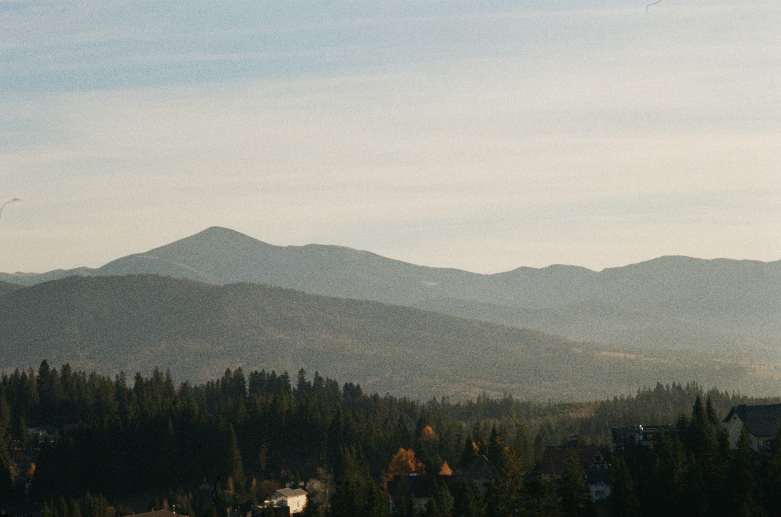 Photo by losingsanity