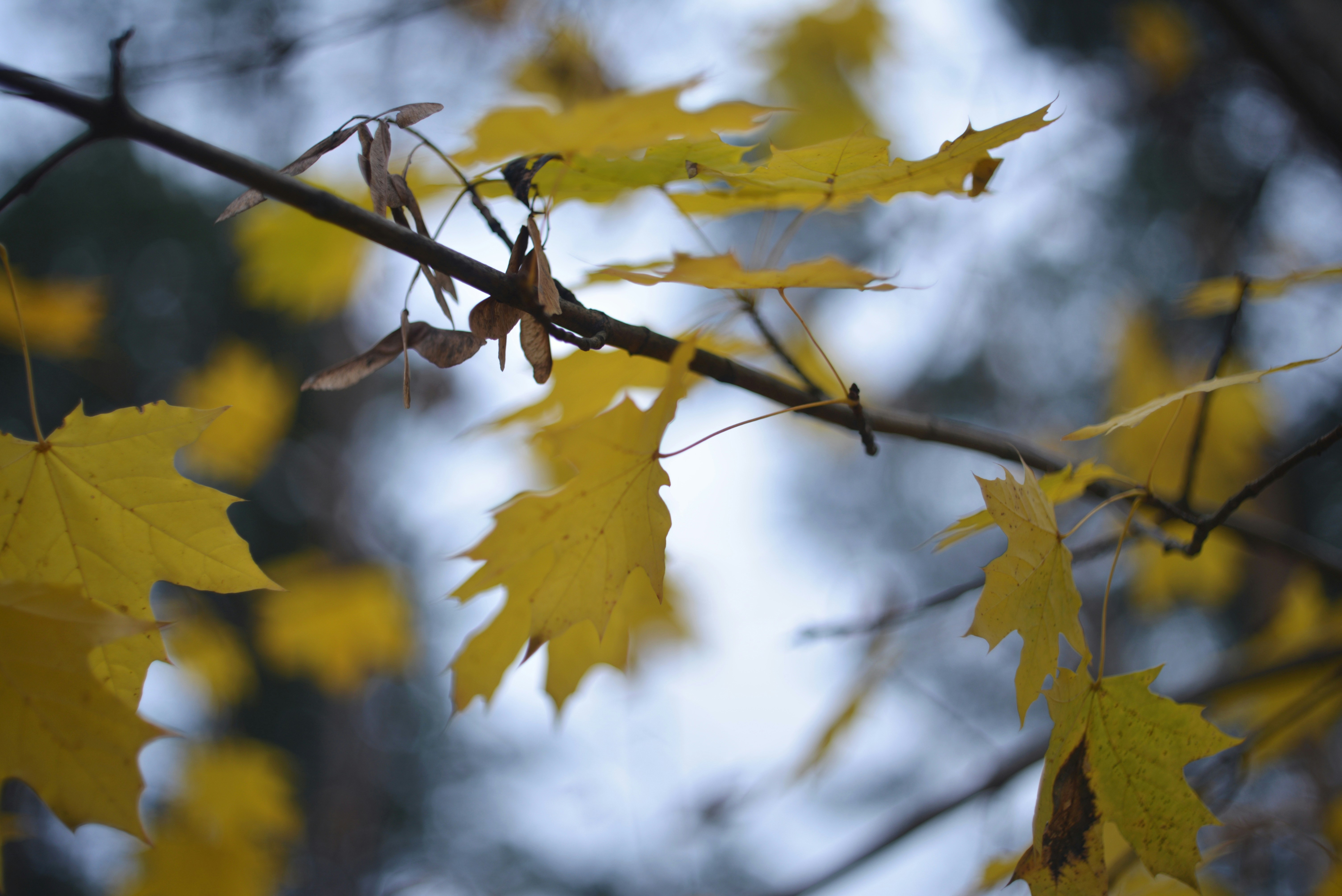 Photo by cherstve_pechivo