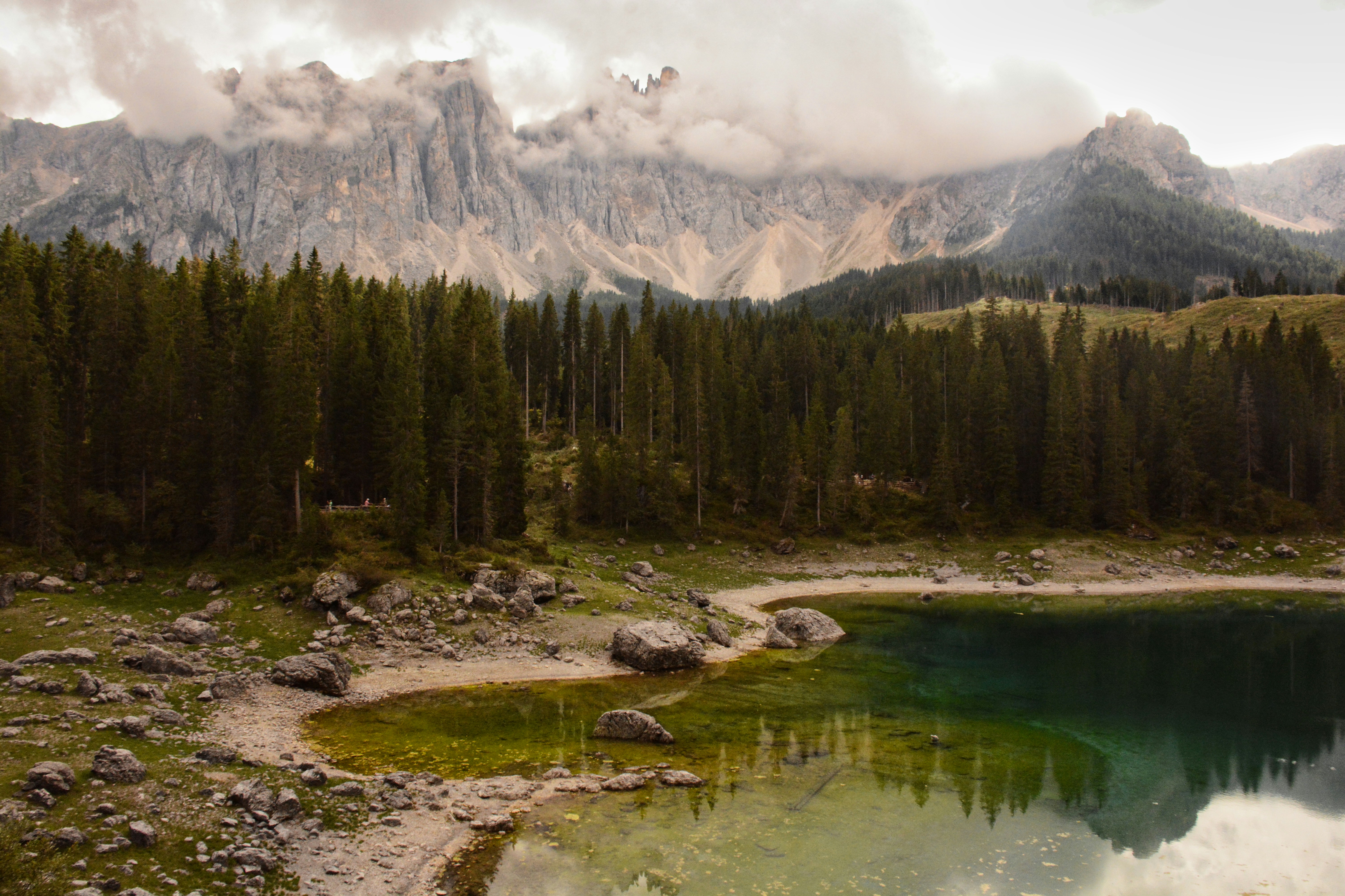 Photo by selvavaleska