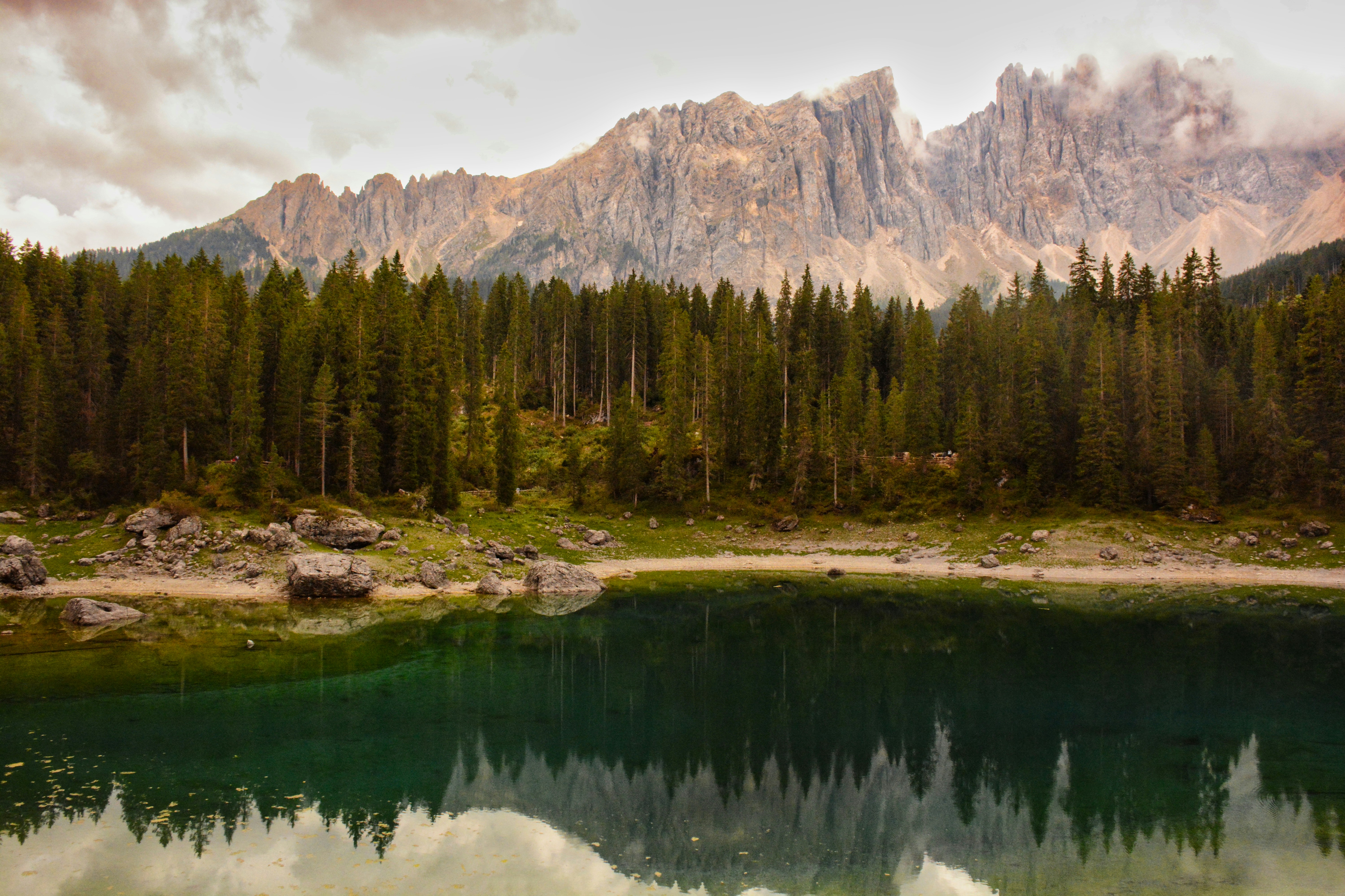 Photo by selvavaleska