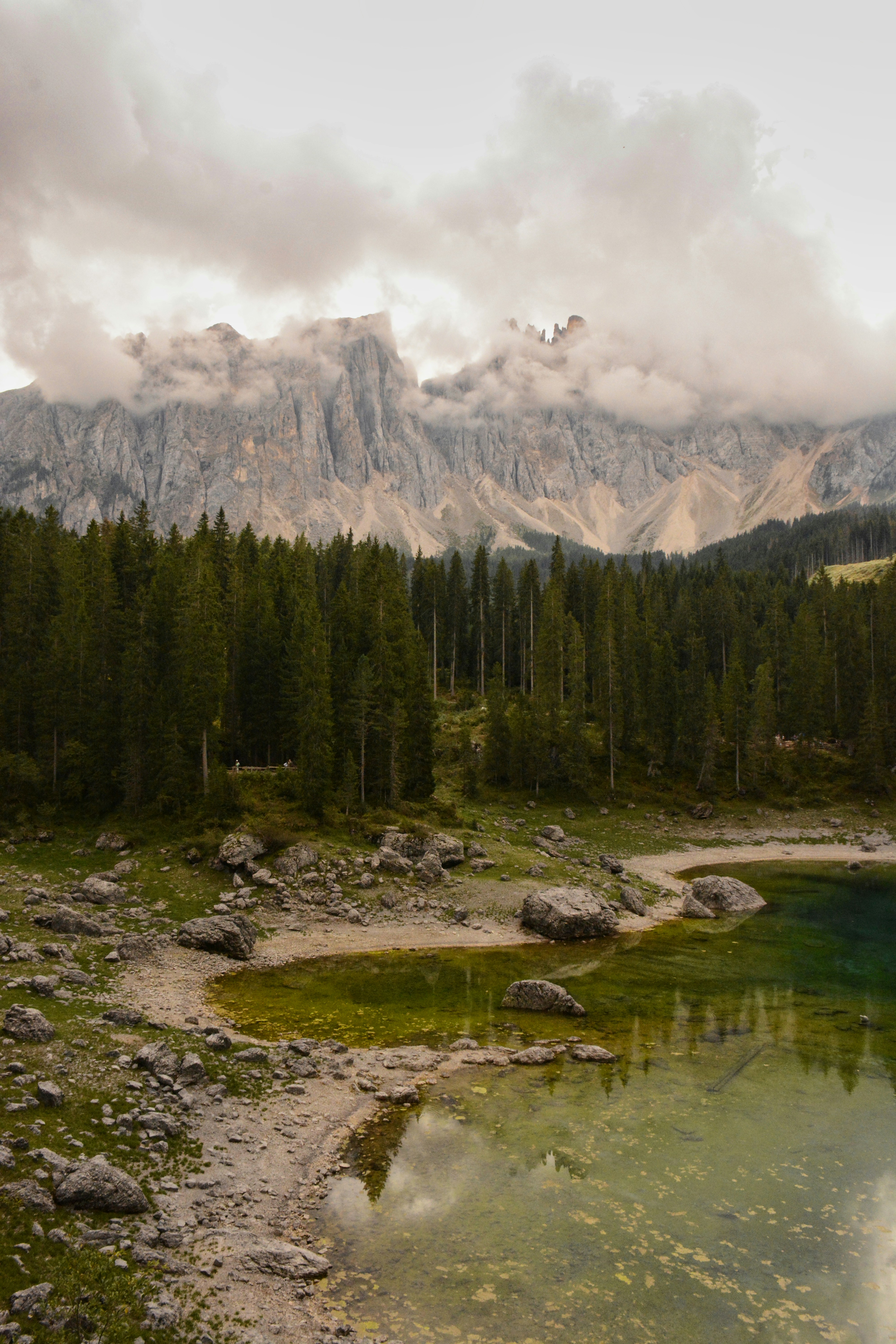 Photo by selvavaleska