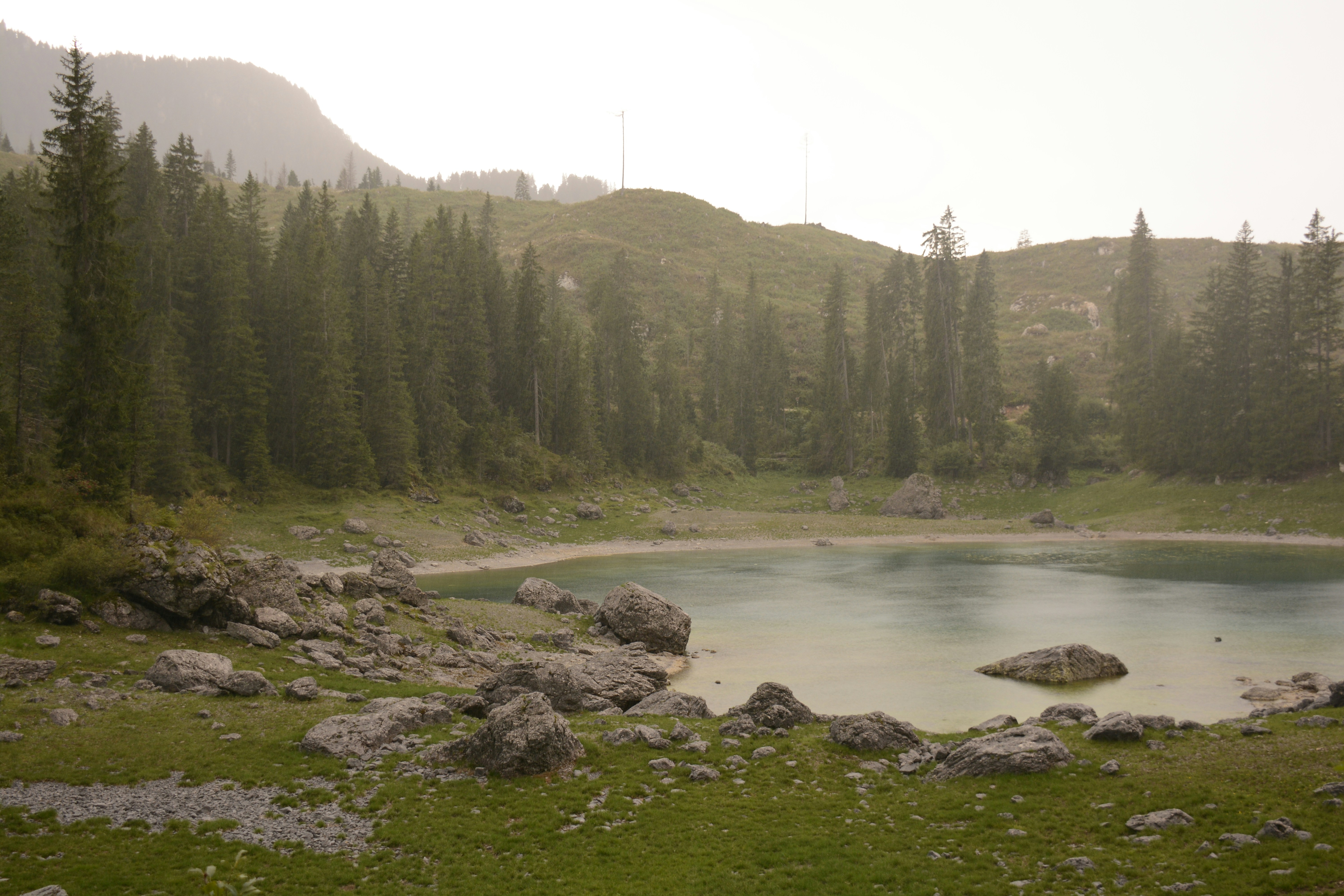 Photo by selvavaleska