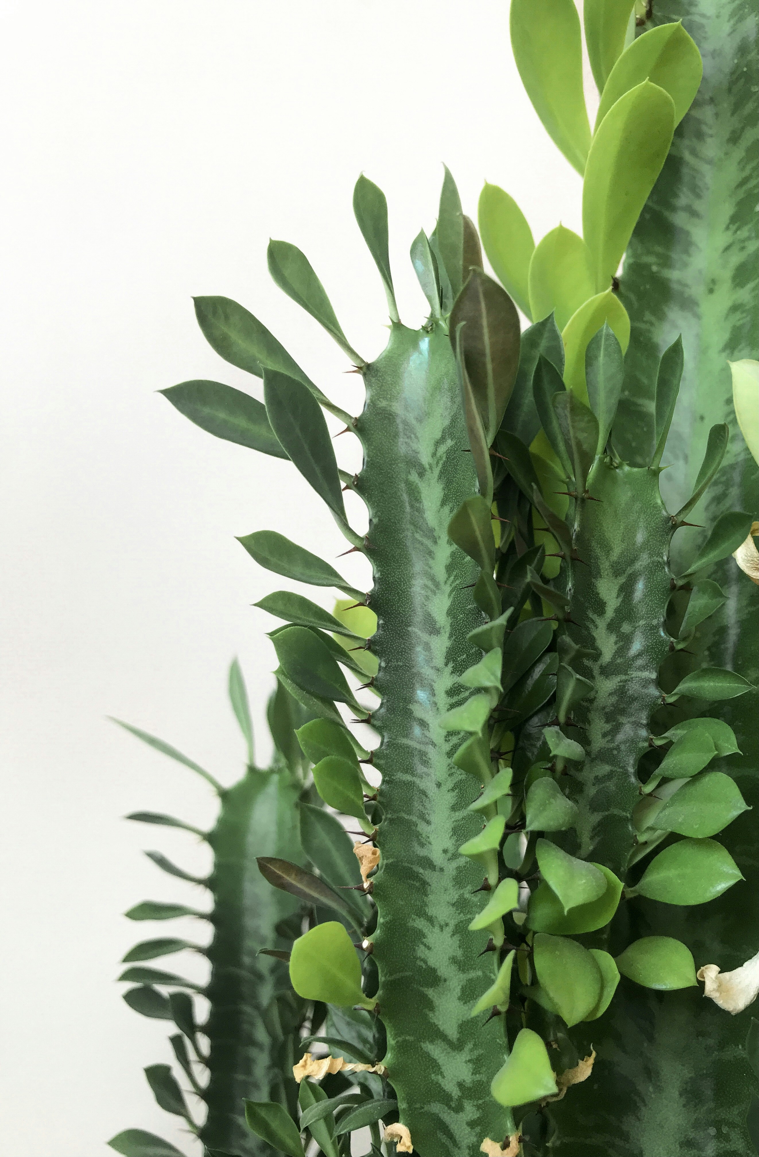 Photo by mahdi_rezaei