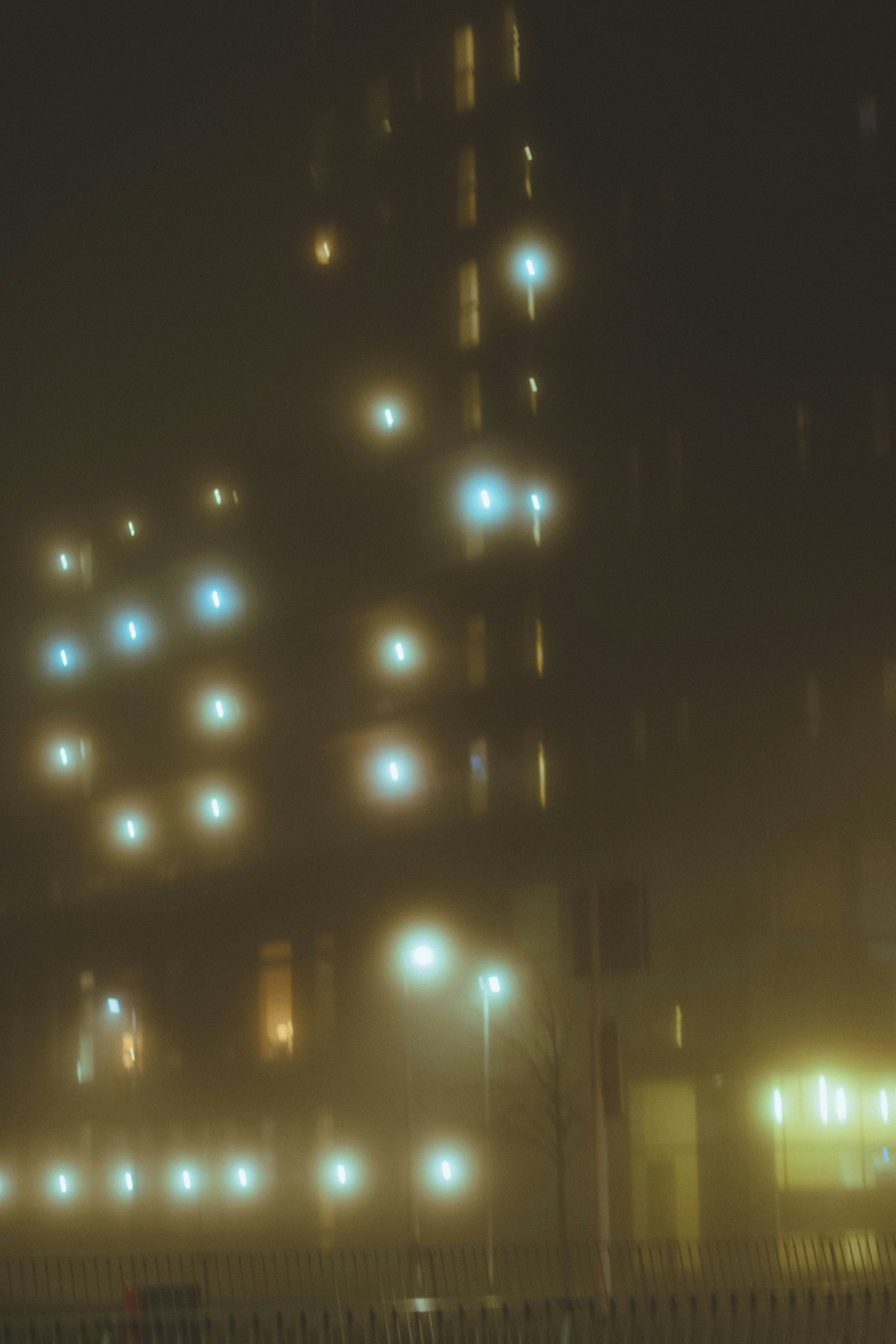 Photo by joemi_chulo