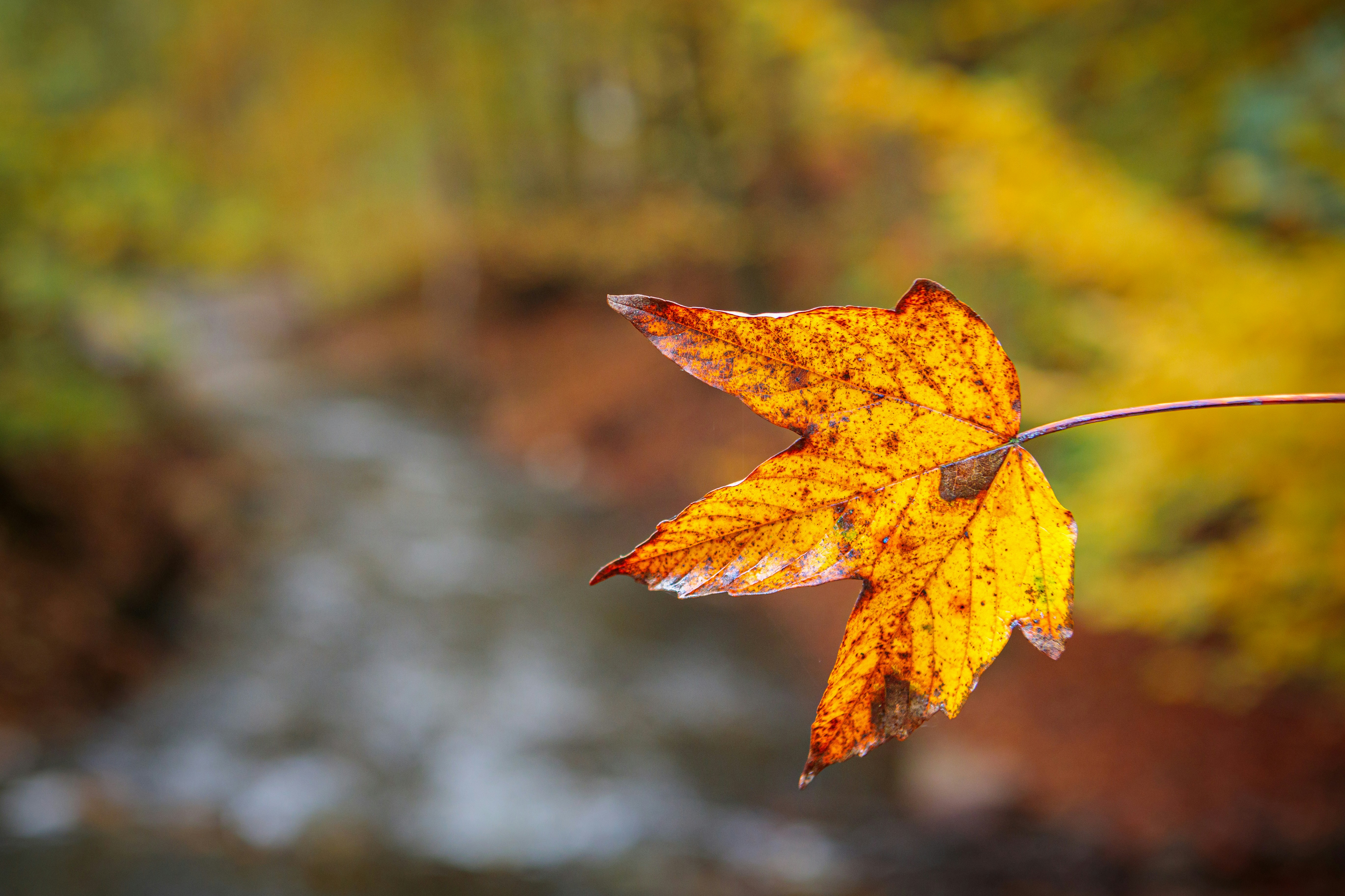 Photo by dreamscape_visions