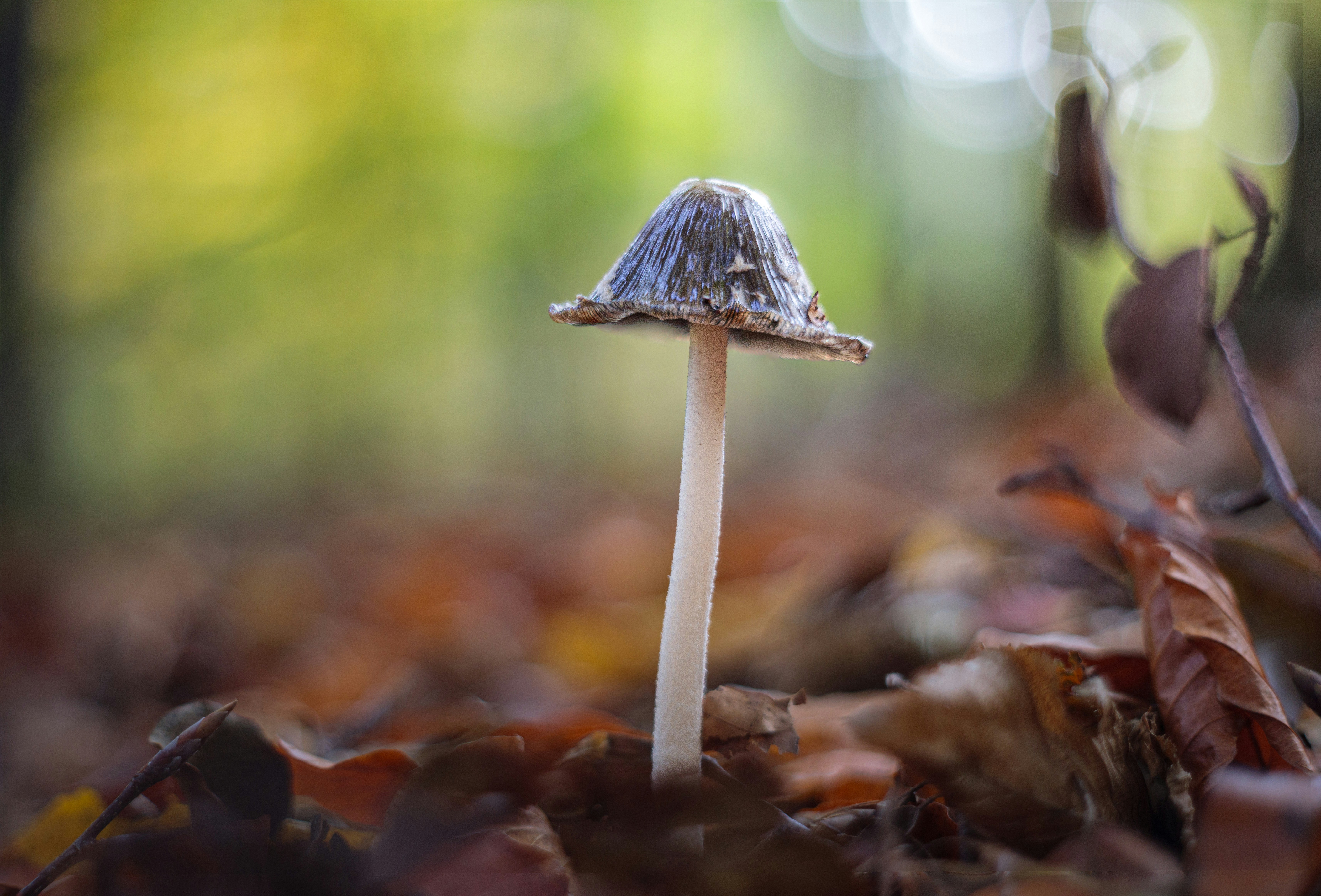 Photo by dreamscape_visions