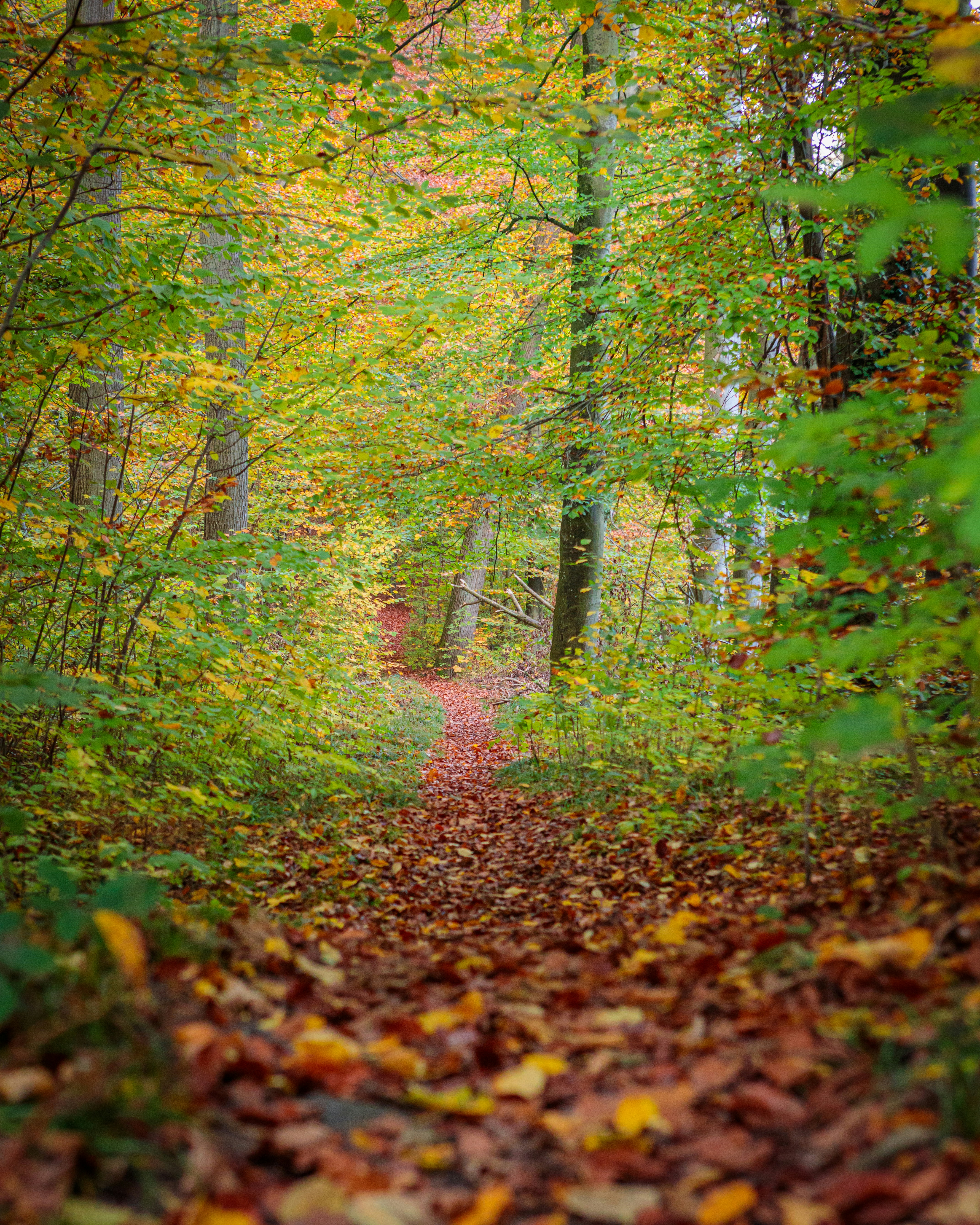 Photo by dreamscape_visions