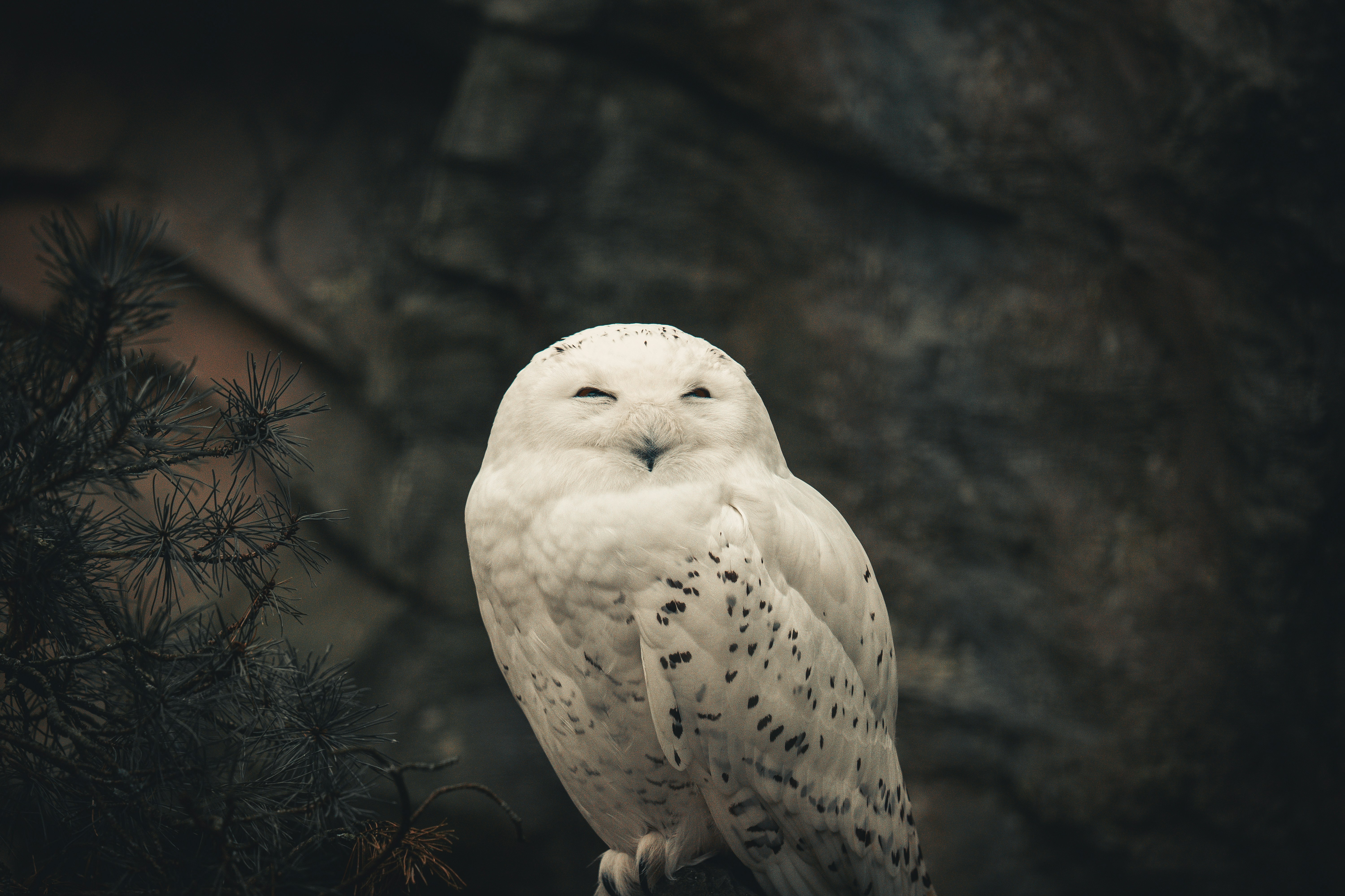 Photo by omarvellous14