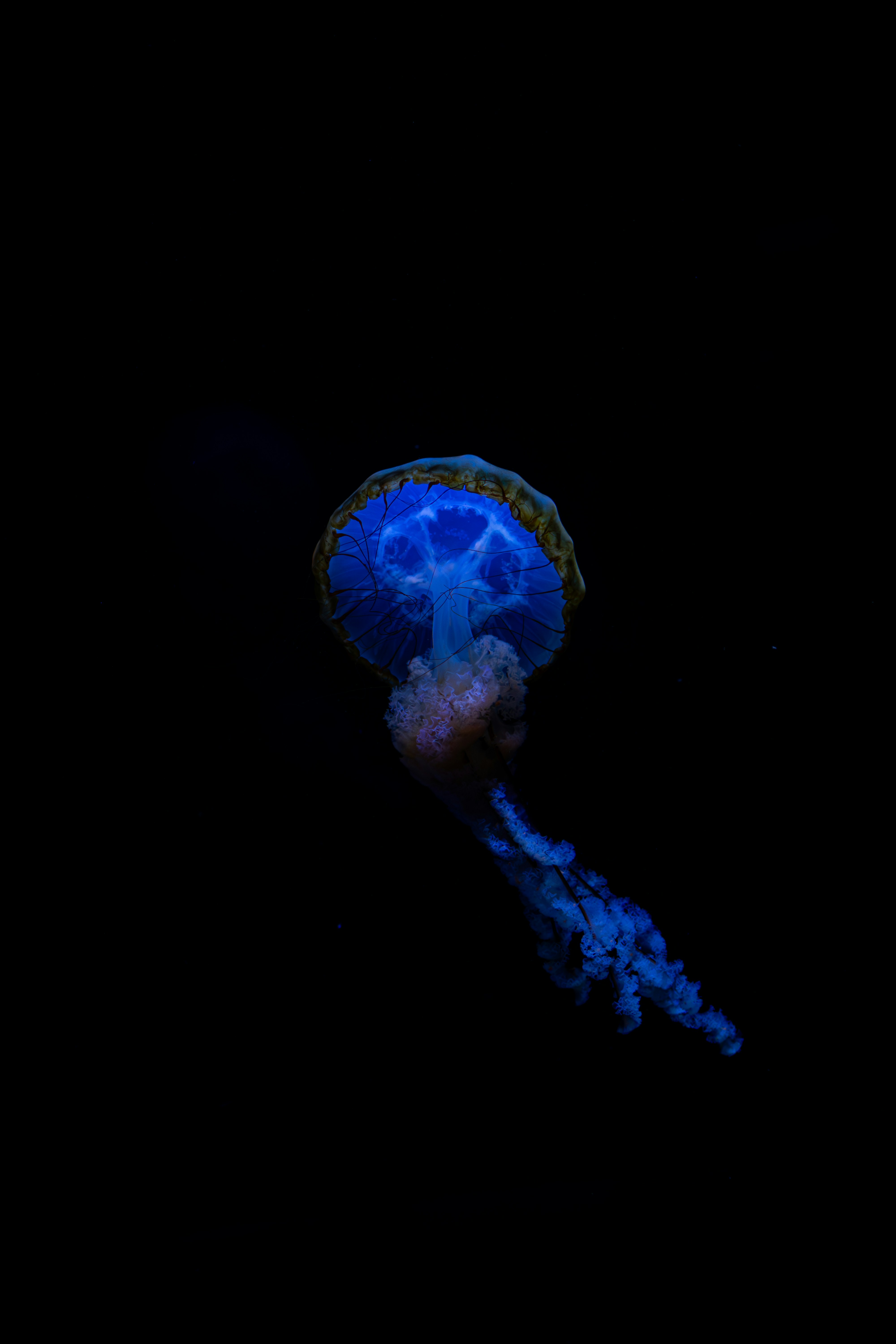 Photo by kennyvrphotography